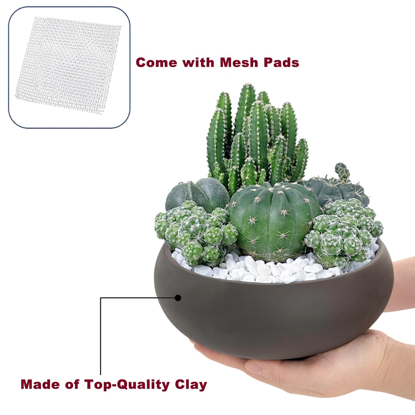 Bonsai Pot 8" Unglazed Round Ceramic Succulent Planter + Drainage Screen