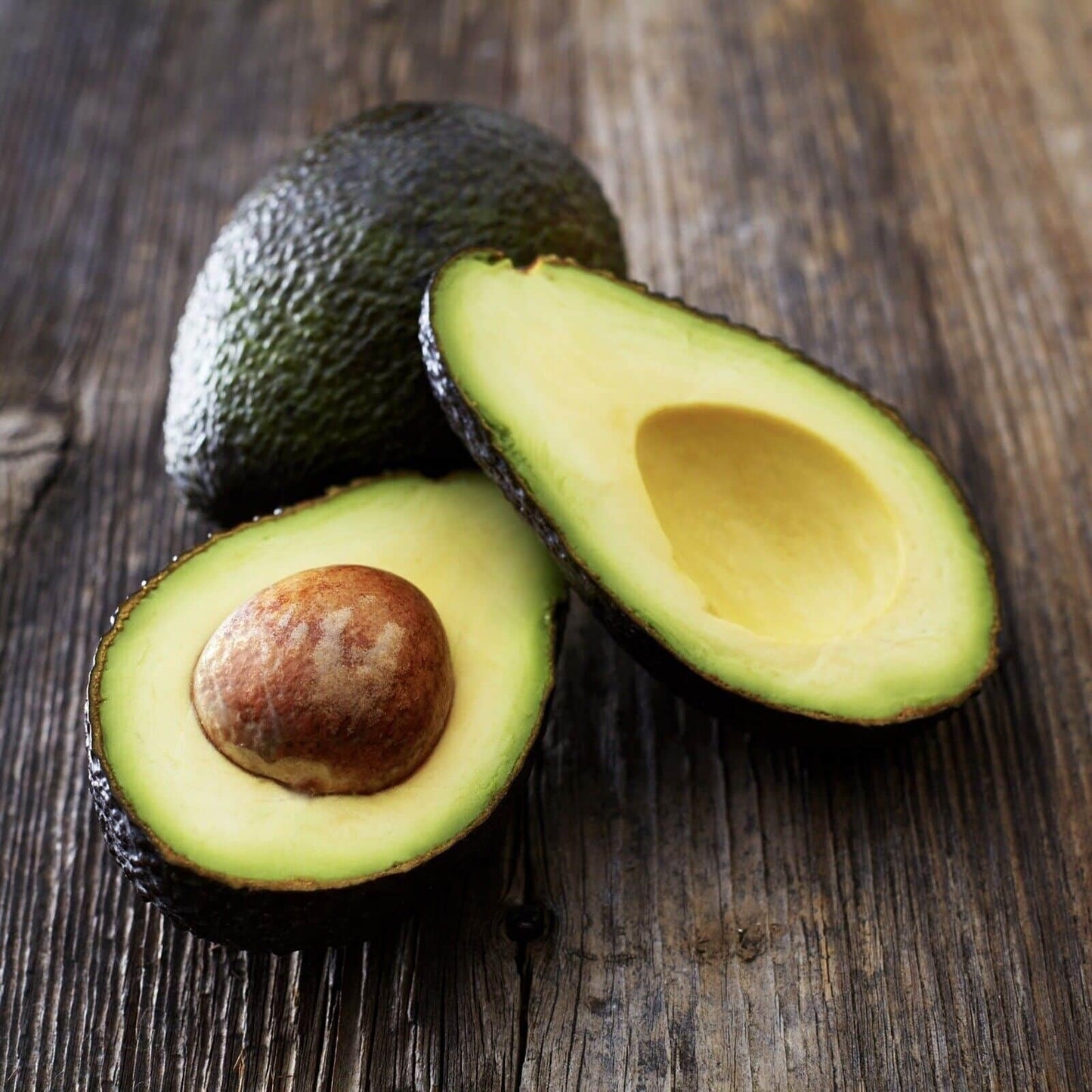 Live Plant - Avocado HASS (Persea Americana) Tropical Live Big Fruit Tree 12”-24”