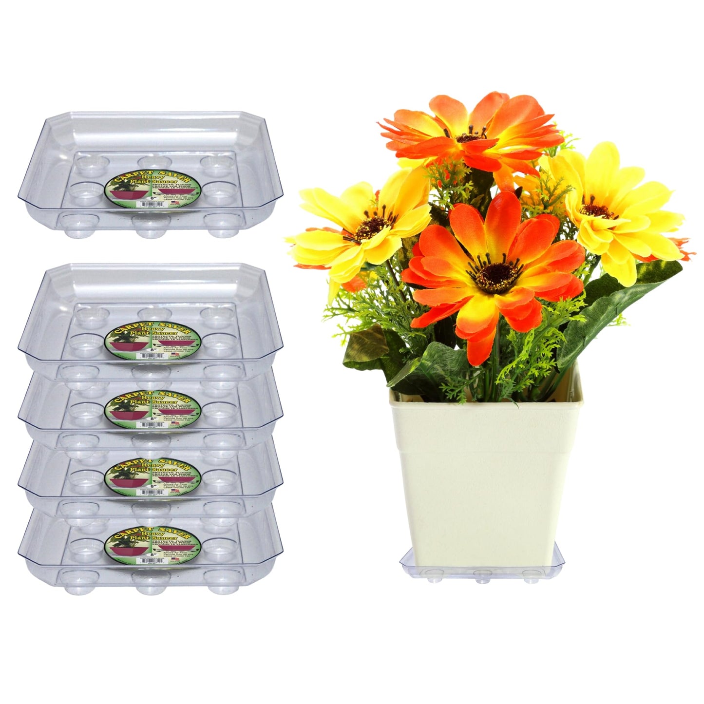 Curtis Wagner Plastics Designer Series Plant Saucer (5-Pack) - Clear, Square (Diameter: 5.75" Base, 8" Top, 1.62" Depth) Thick Plastic Plant Drip Trays - Used as Indoor Pot/Outdoor Plant Saucers