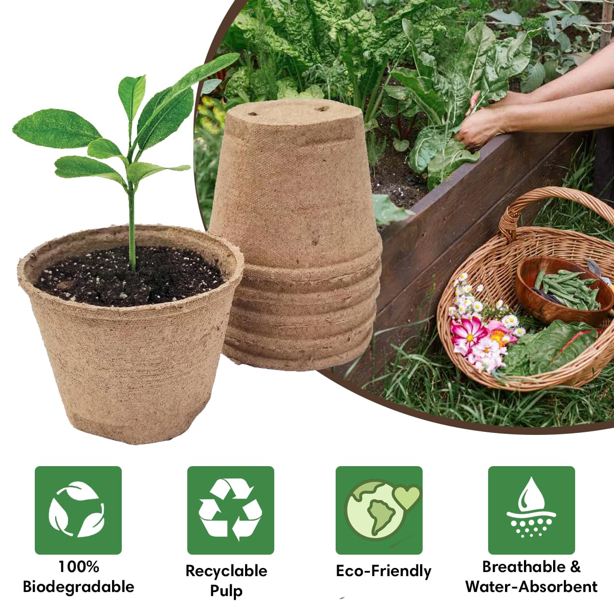 Garden Haven Seedling Starter Kit Germination Grow Cups and Soil (10 Pack) Biodegradable Peat Pots, Coco Coir Soil Discs, Plant Markers - Organic Grow Kit for Seed Germination, Indoor/Outdoor (1)