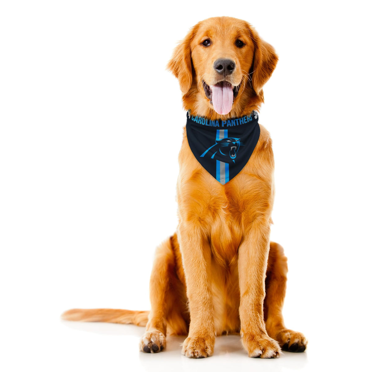 Littlearth NFL Denver Broncos Pet Bandana, Team Color, Small