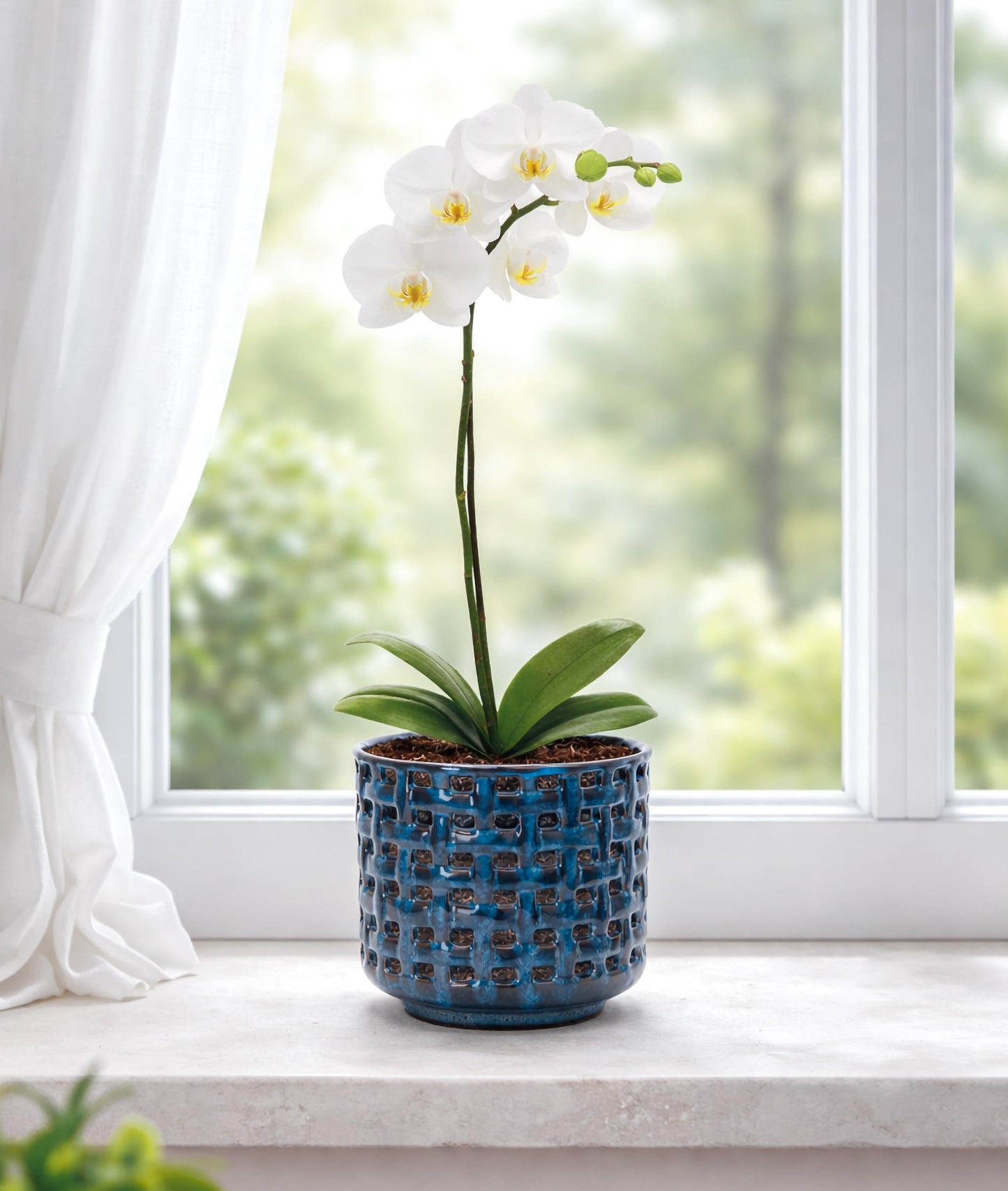 D'vine Dev 4.5 Inch Ceramic Orchid Planter with Lattice Cutout Design, Glazed Cachepot with Clear Nursery Pot & Detachable Saucer for Orchids and Indoor Plants, Midnight Blue, 28-A-Z-2