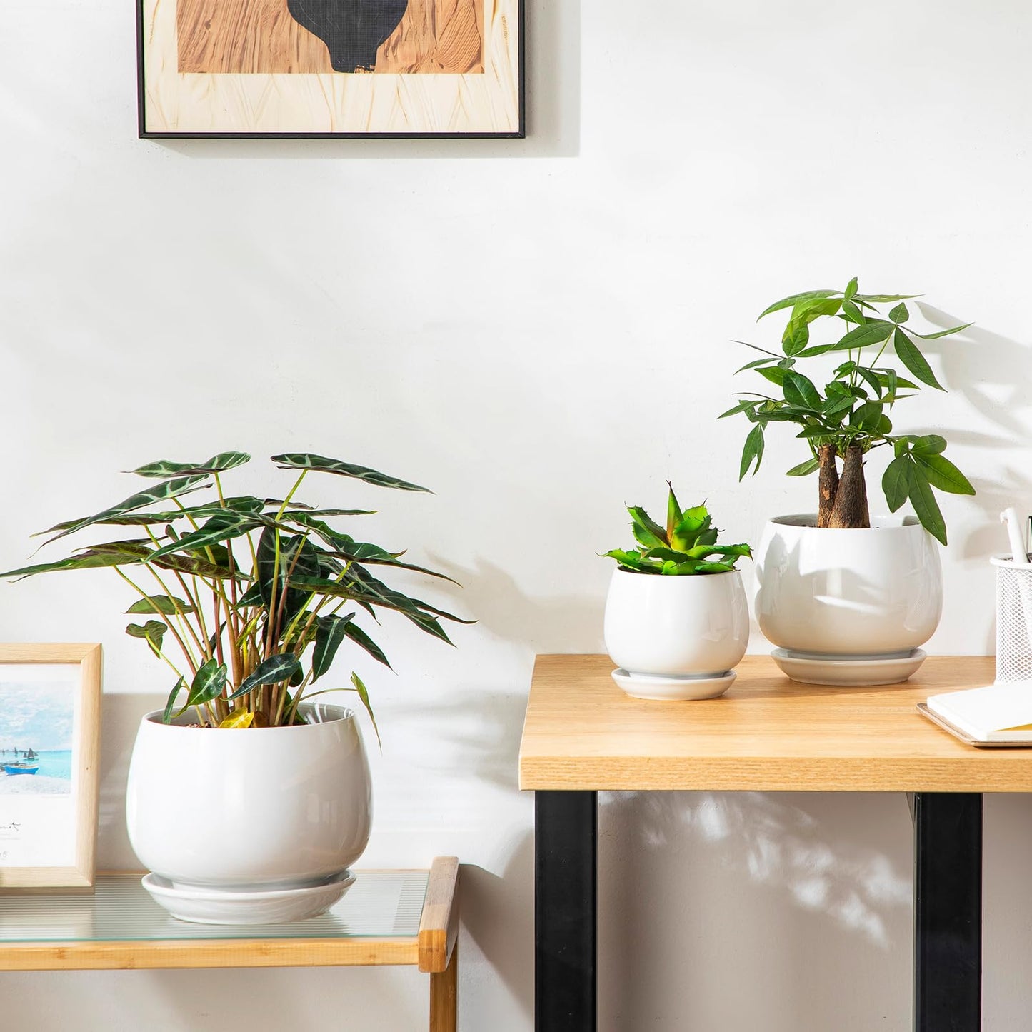 vancasso 3-Pack Ceramic Plant Pots, 3.7/4.8/6.2 Inch Indoor Planters with Saucers & Drainage Hole Planter pots for Indoor Plants and Flower, White