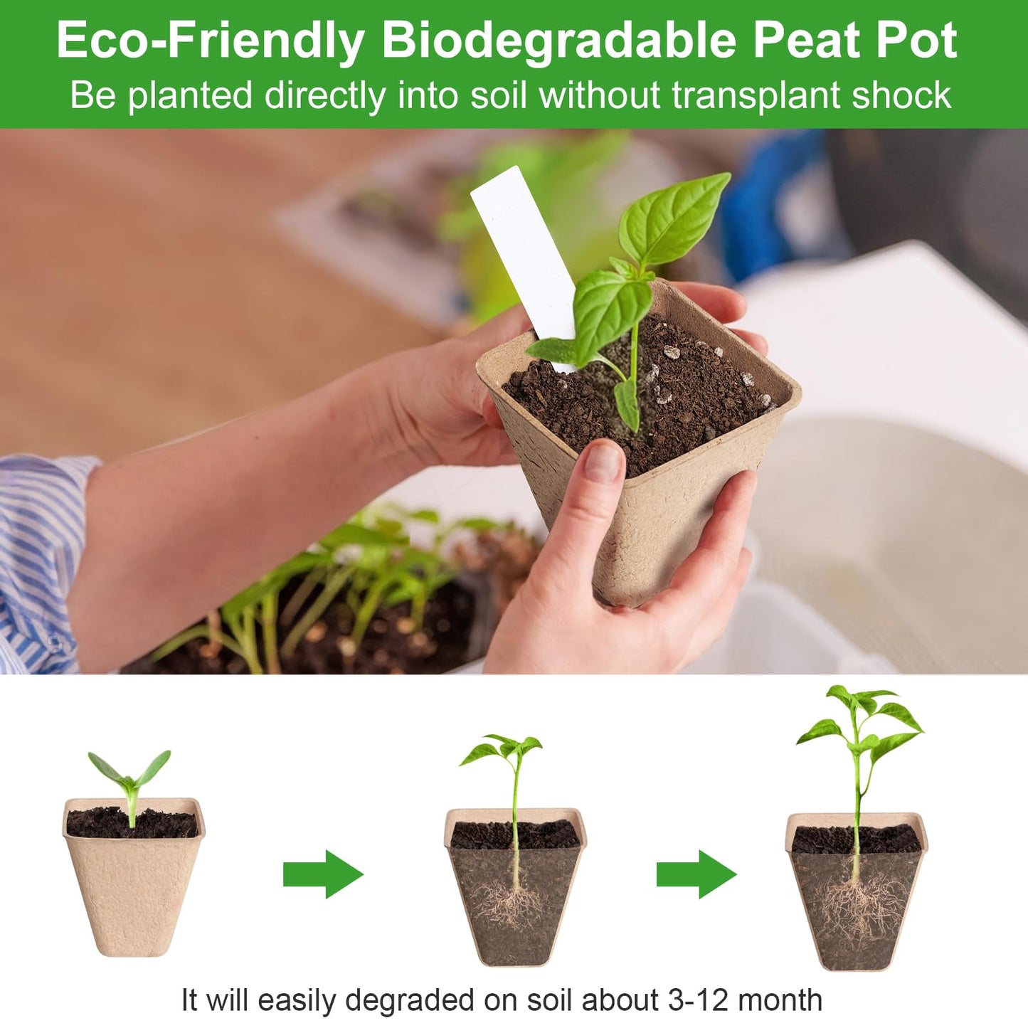 KOAMLY Square Peat Nursery Pots 150 Pcs 3in Biodegradable and Label, Used for Outdoor Gardens in Plant Nurseries