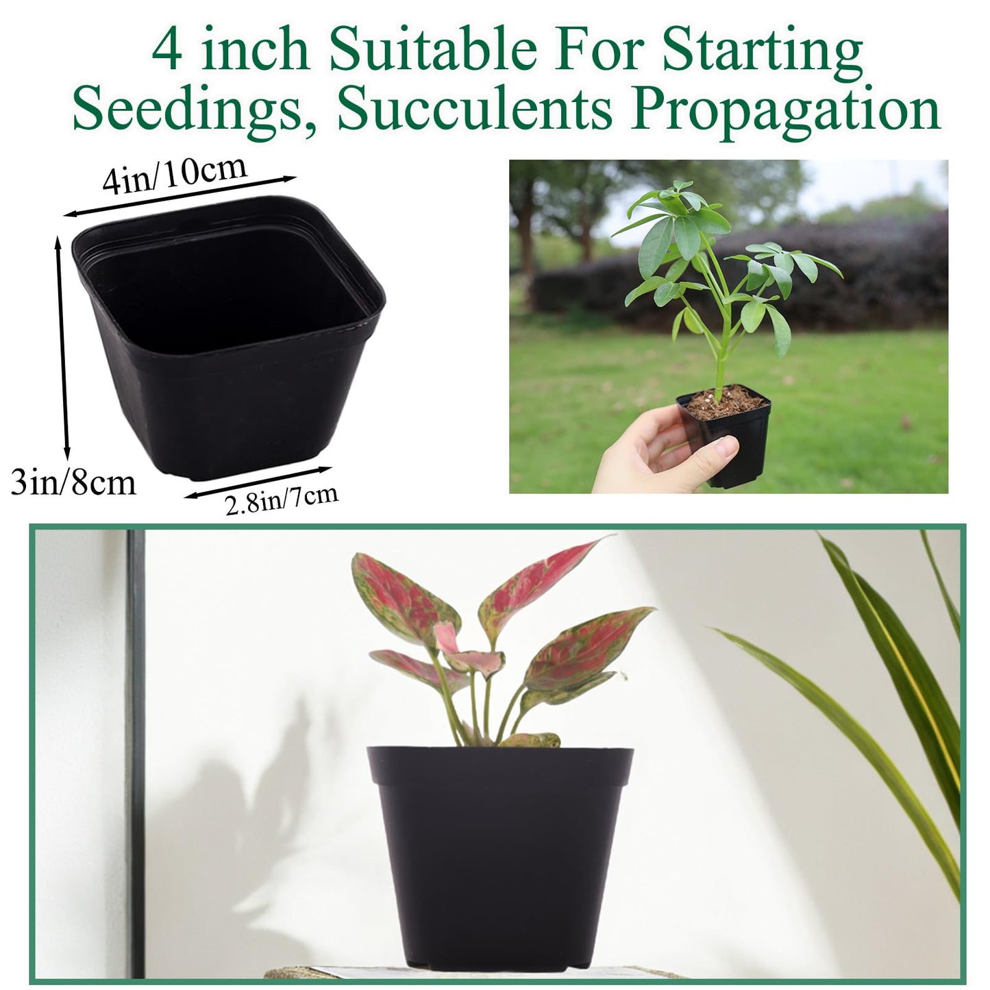 Tulpeed 100 Packs Square Nursery Pots for Plants 4 Inch Succulent Plant Pots Set Plastic Seedling Starting Pots with Drainage Holes Nursery Pots Variety Pack Flower pots Planter Seed Starter, Black