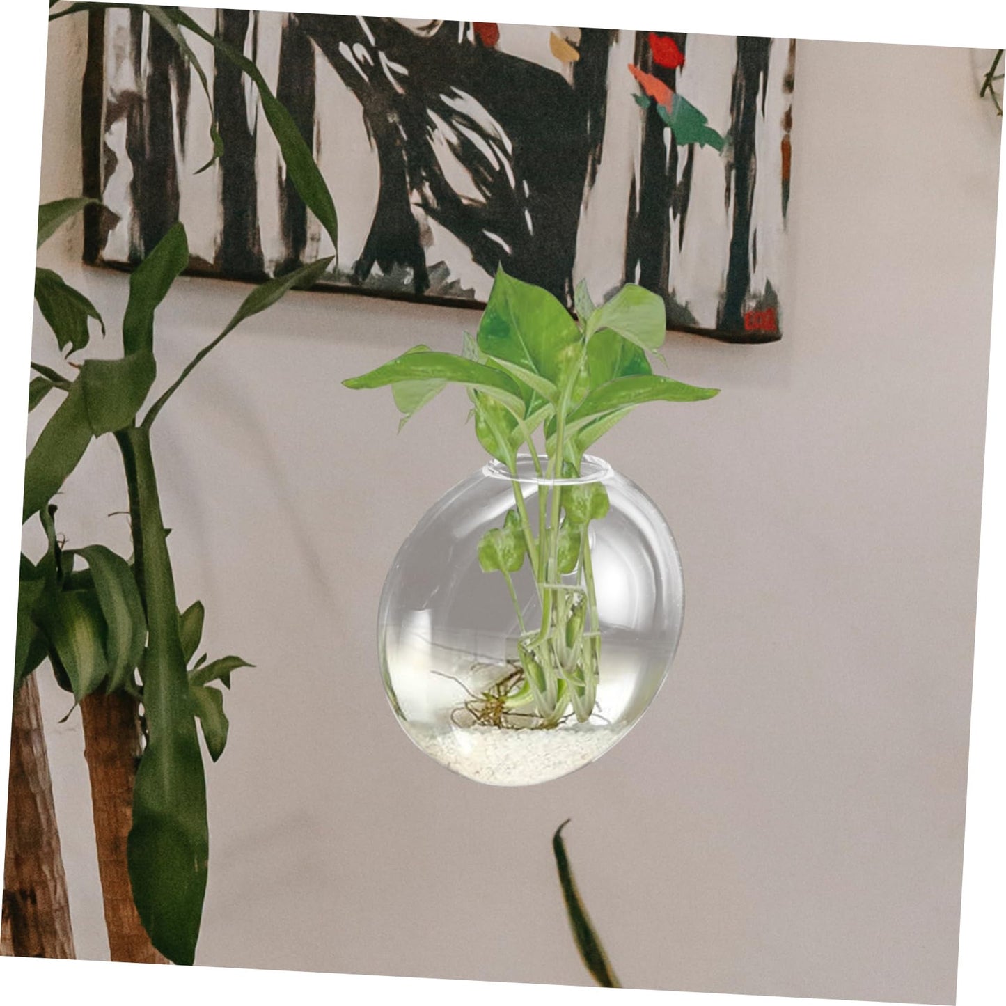OUNONA Wall Hanging Hydroponic Glass Terrarium Planter Transparent Wall Flower Vase Space Saving Decorative Bottle for Small Apartments and Indoor Plants