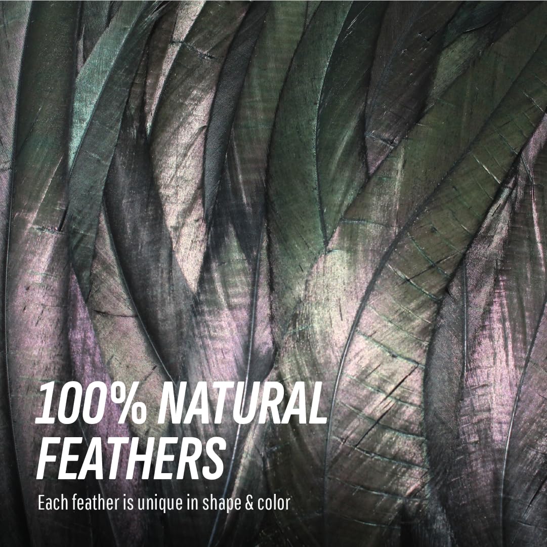 Schuman Feathers Black Coque Tail Feathers 30 Pack (10-12 Inch) – Natural Rooster Feathers for Crafts, Costumes, Decor, DIY, Halloween, Mardi Gras – Packed in USA, U.S. Quality Control