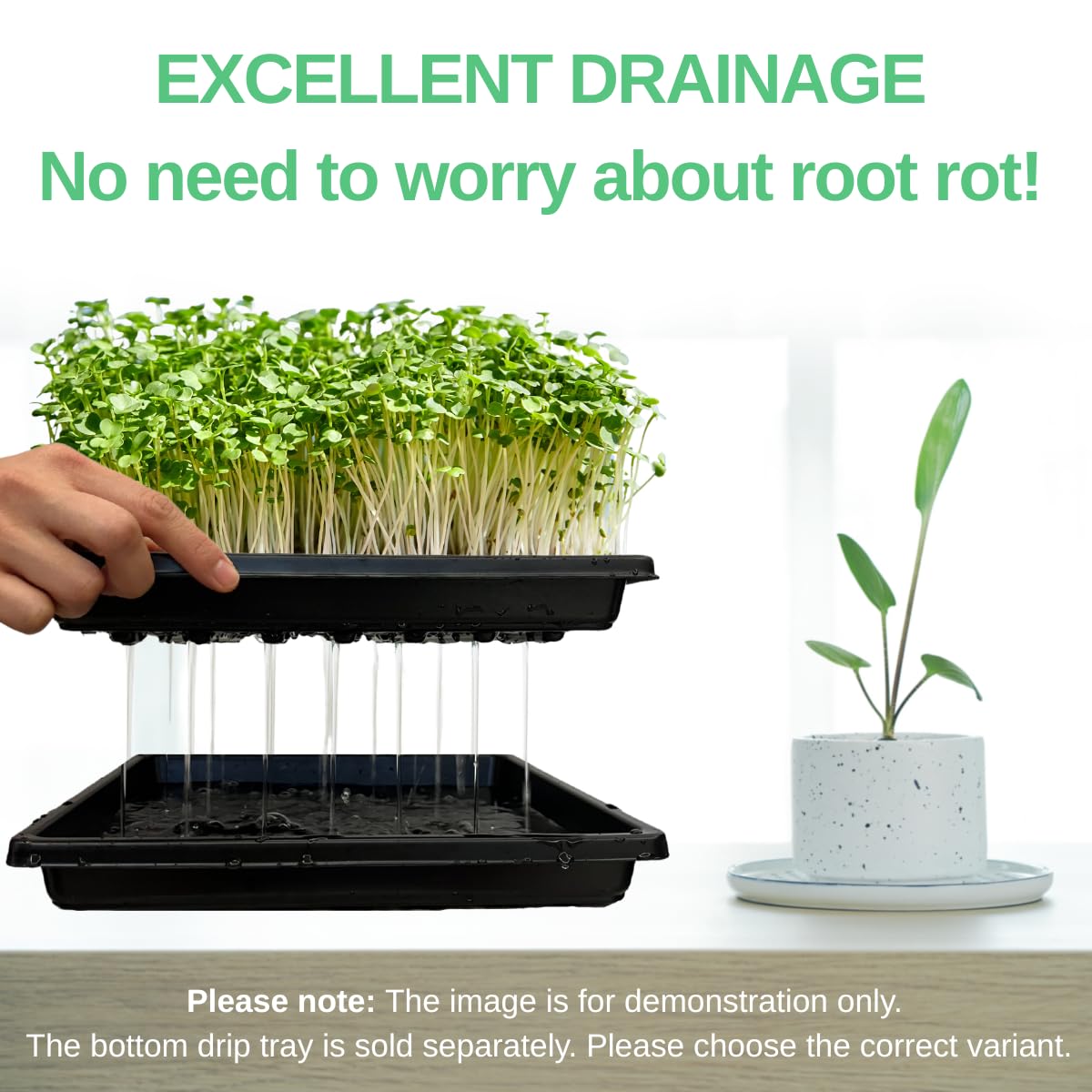 ILITING Plant Growing Seed Starter Trays for Seedlings Microgreen, Shallow Plants Tray Standard 1010 Tray with Drain Holes 5 Pack Black 10.7 x 10.7 inches Square Trays