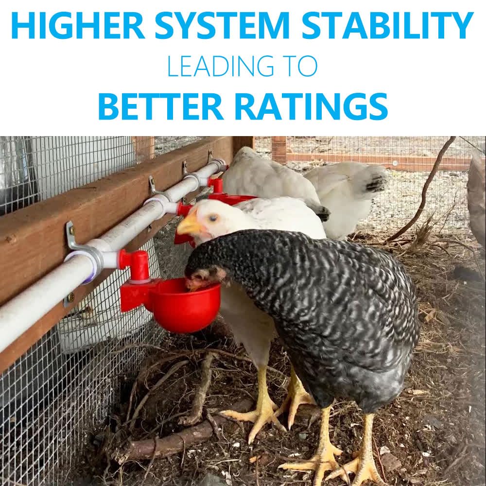 Automatic Chicken Watering System with 1/2" PVC Pipe & Hose Connector Kit, Leak-Proof and Easy-Assembly Chicken Drinker for Coops, Compatible with Water Tanks
