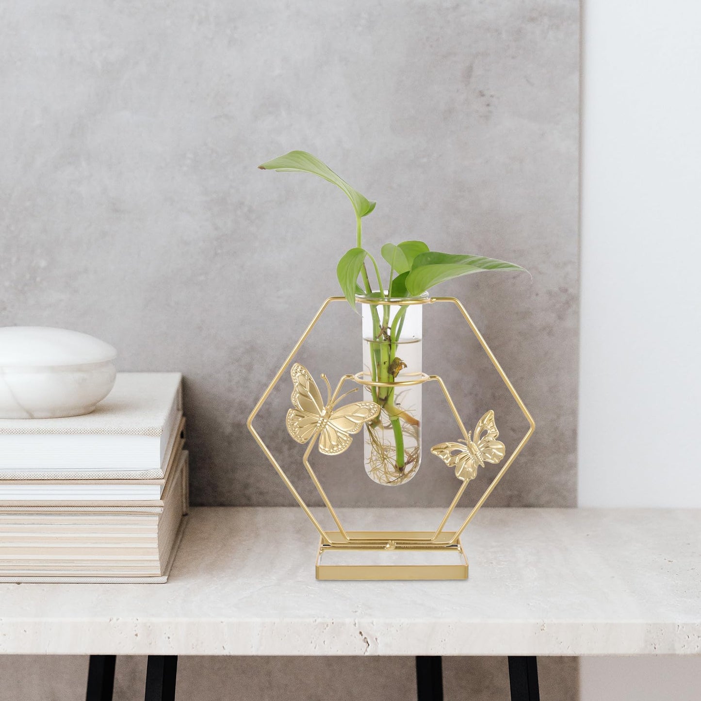 JOINPAYA Hydroponic Glass Flower Vase with Metal Hexagonal Frame, Butterfly Pattern Decorative Desktop Terrarium, Delicate Plant Holder for Home and Office Décor