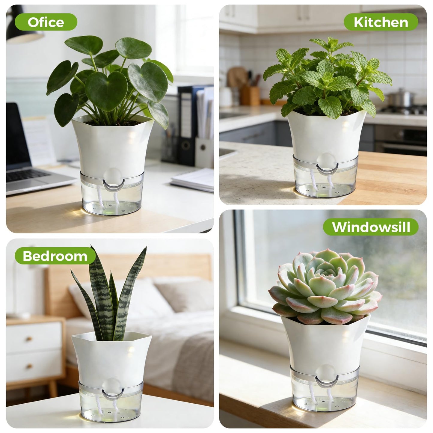 Planterhoma 6-Pack 4.3" Self-Watering Planters, Clear and White, Indoor Use, Hexagonal Plant Pots for Orchids, Herbs, African Violet, Home Decor