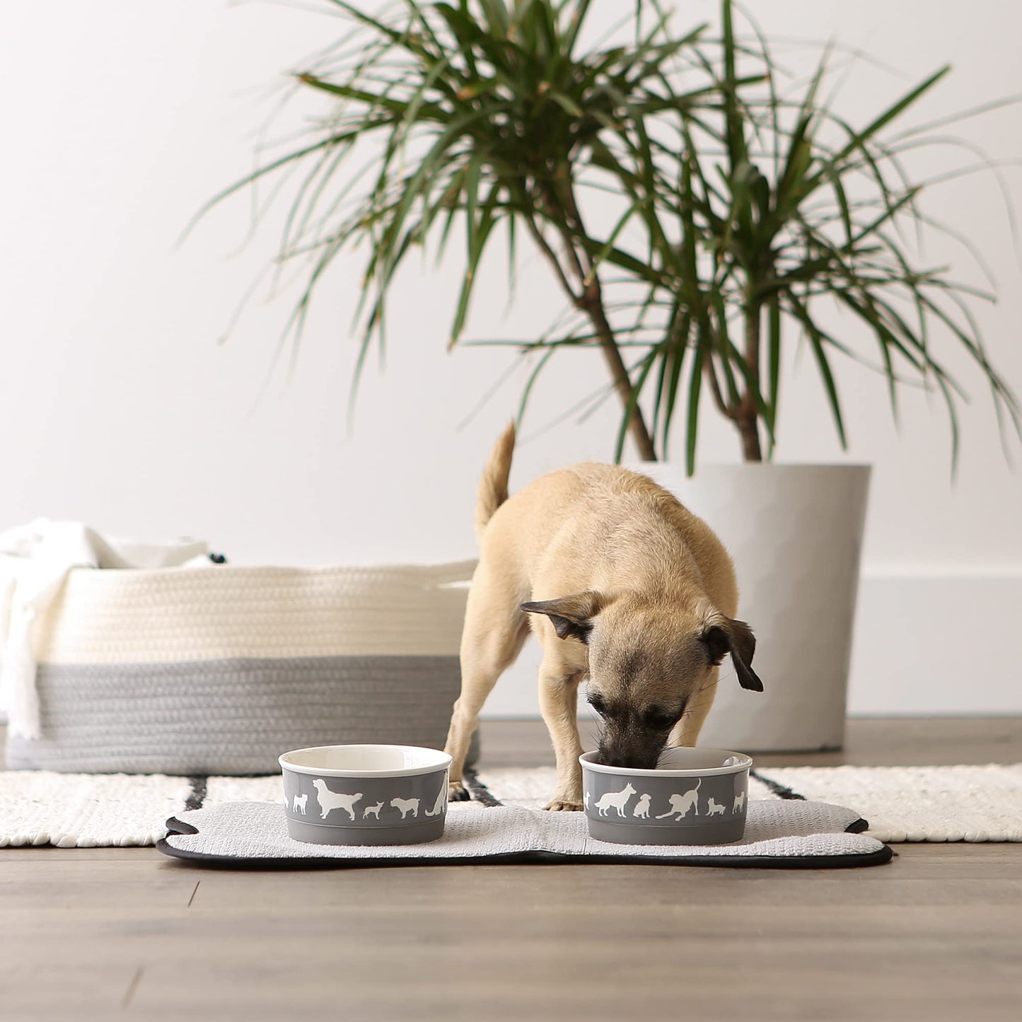 Bone Dry Dog Bone Ceramic Pet Bowl & Canister, Small, 4.25x2, Gray, 2 Count