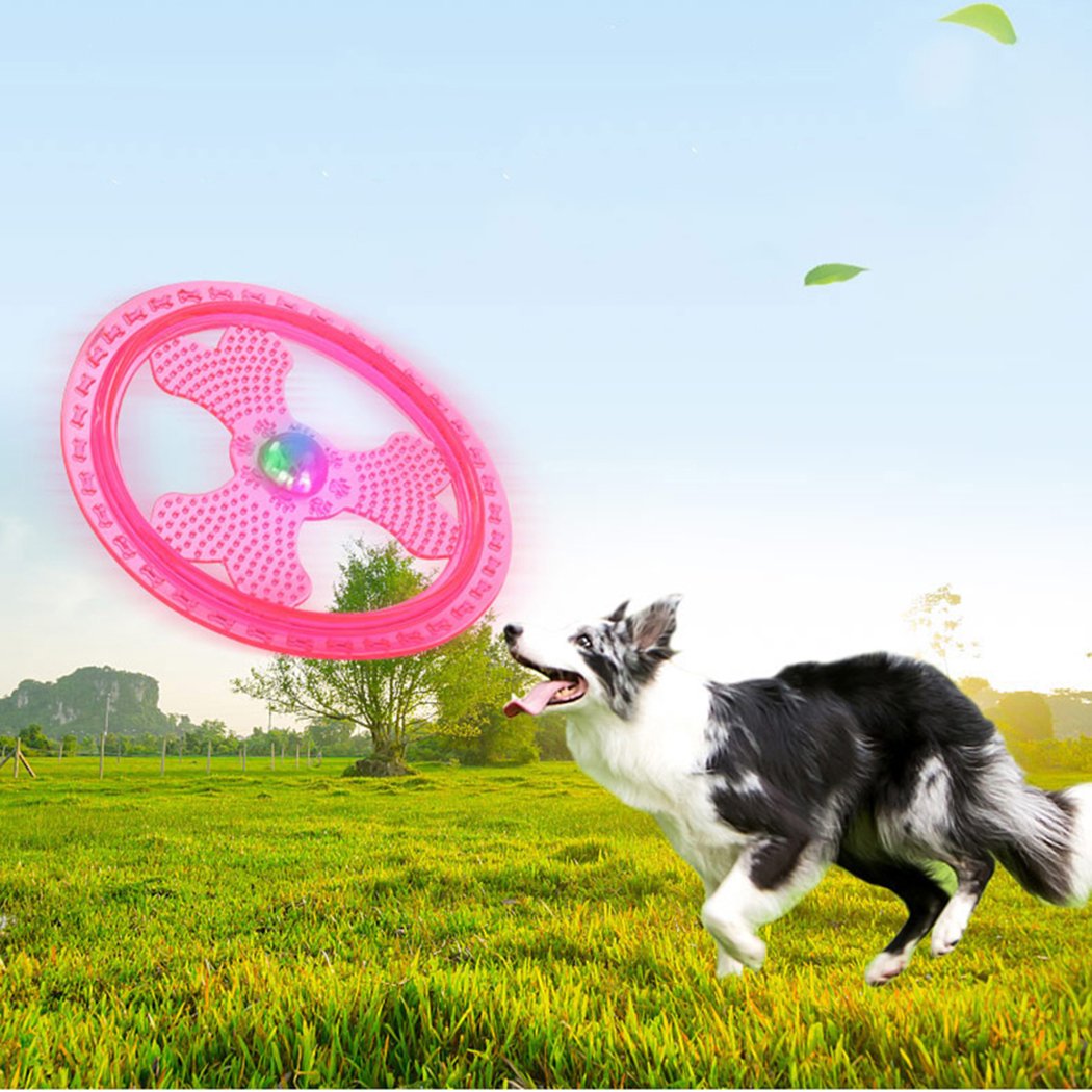 Wandrola Flying Disc Dog Sport Toy with Flashing LED Lights, Light Up Pet Disk for Ultimate Night Time Play, Blue