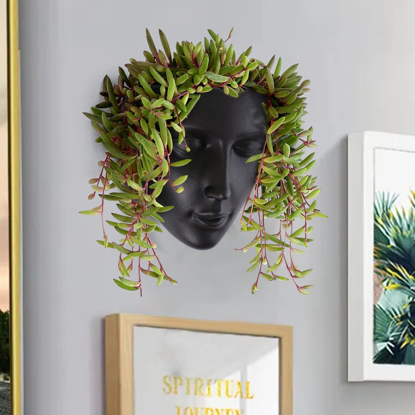 Notakia Face Planter Pot Wall Mounted Outdoor/Indoor Planter with Drainage for Succulents, Cactus, and Small Plants Unique Home Decor Gift for Friends and Family (Black)