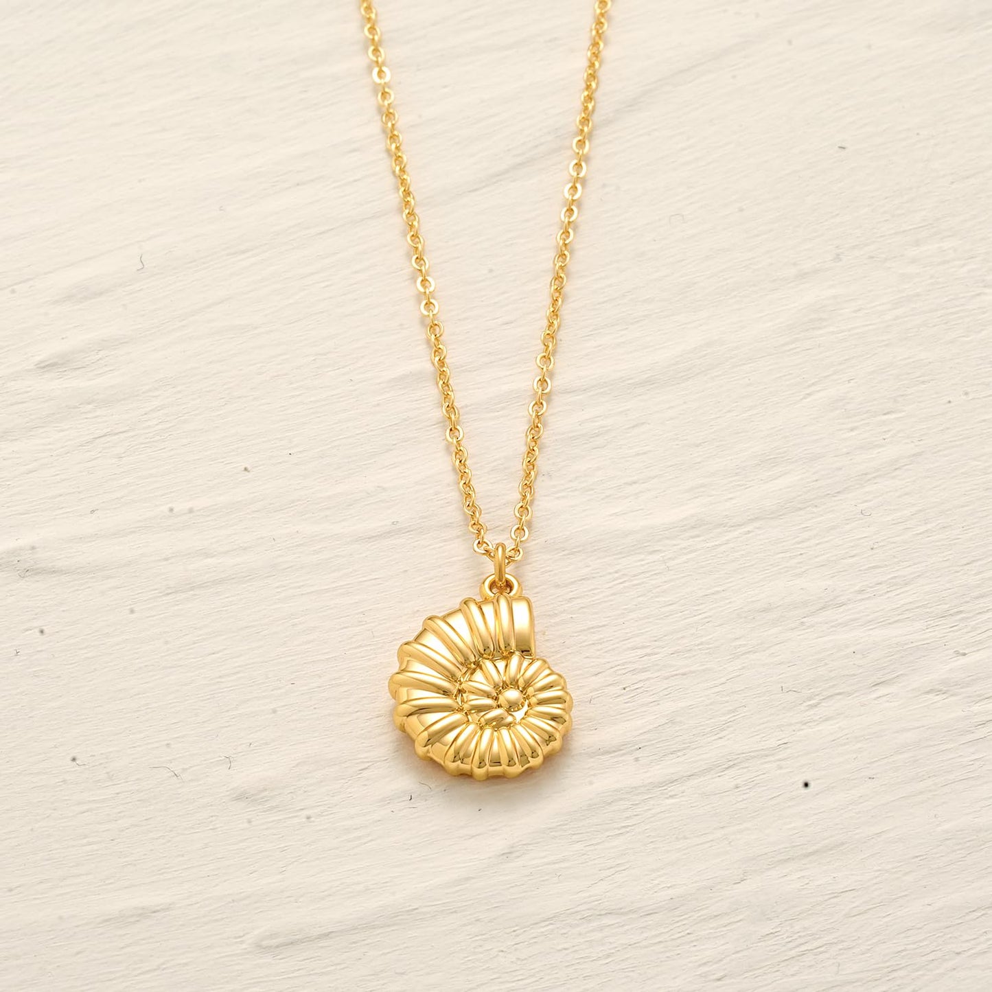 MYEARS Women Gold Necklace Conch Shell Pendant 14K Simple Dainty Chain Everyday Summer Beach Jewelry