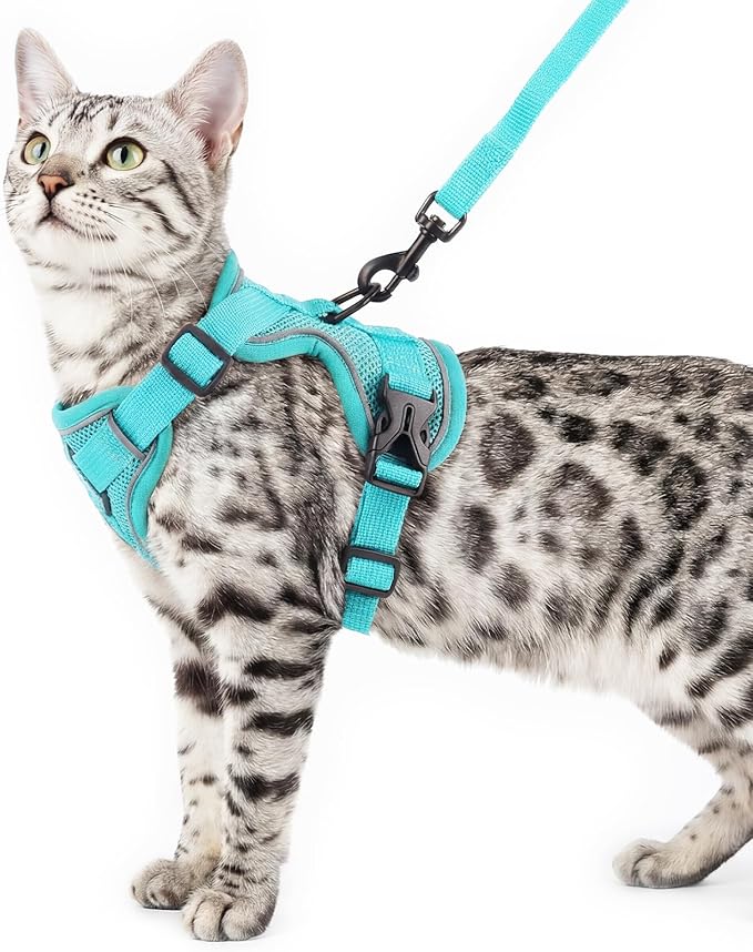 pangdi Cat Harness and Leash Set, Escape Proof Cat Vest, Pink, L