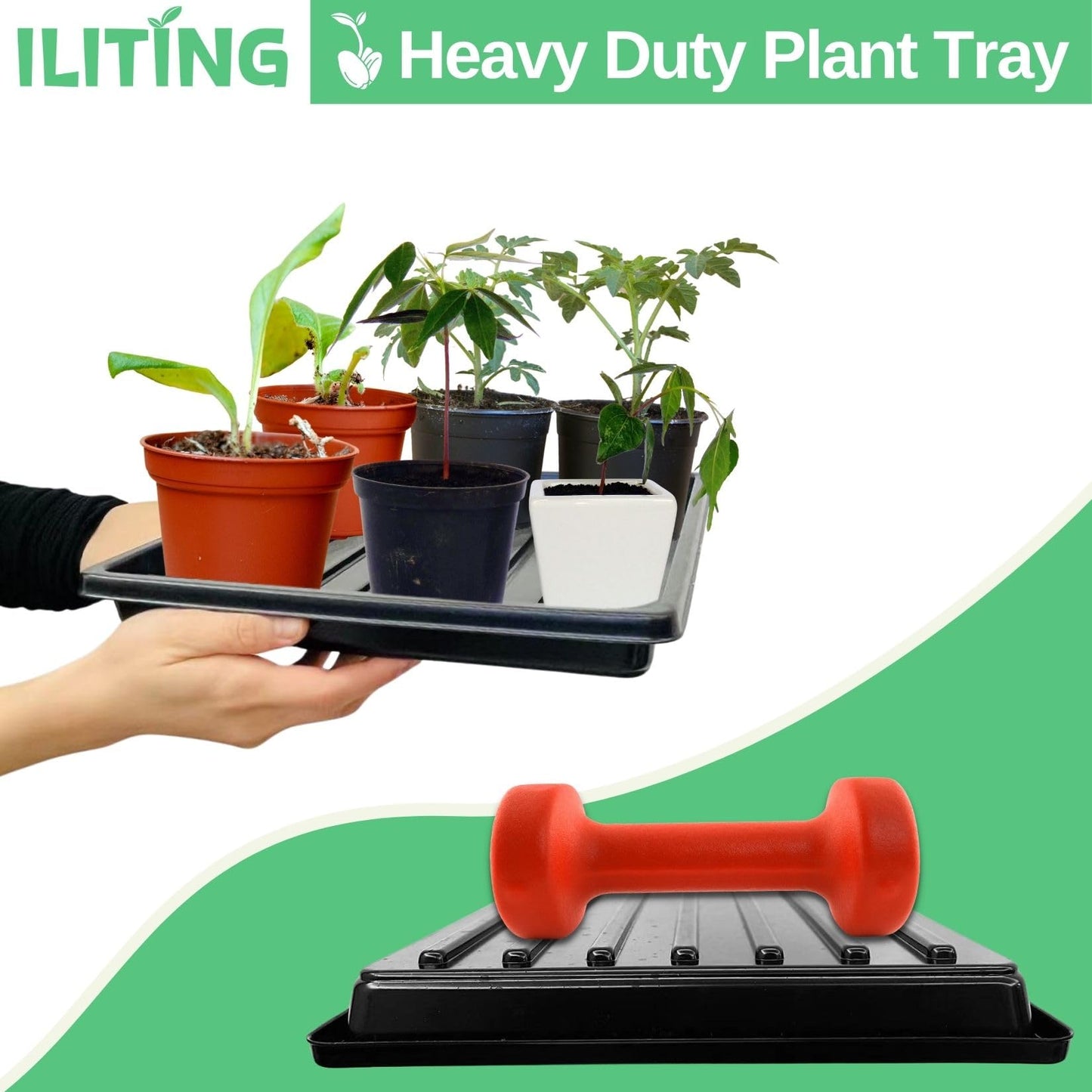 ILITING Plant Growing Trays for Seedlings Microgreen Seed Starter Shallow Plants Tray Drip Tray Standard 1010 Tray No Holes 10 Pack Black 10.7 x 10.7 inches Square Trays