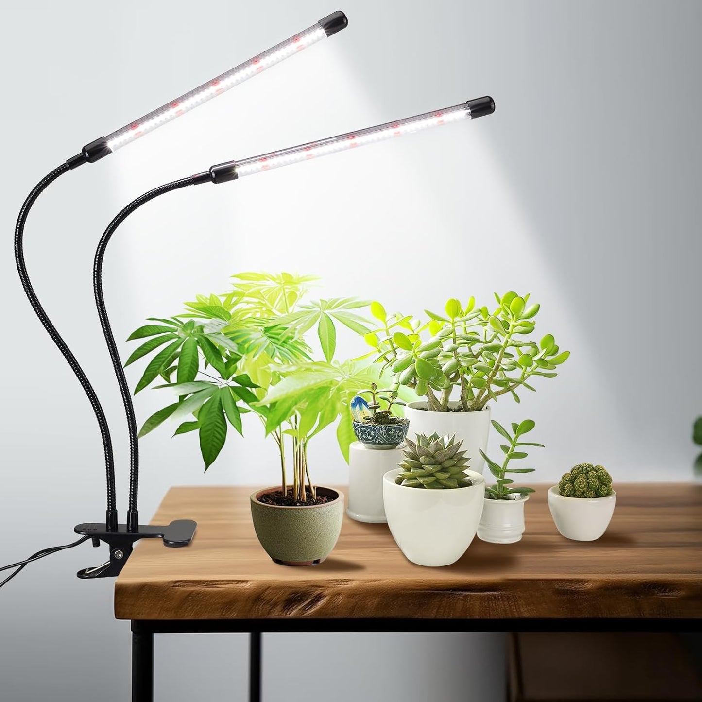 BS&S LED Grow Light,6000K Full Spectrum Clip Plant Growing Lamp with White Red LEDs for Indoor Plants,5-Level Dimmable,Auto On Off Timing 4 8 12Hrs (USB/20W)