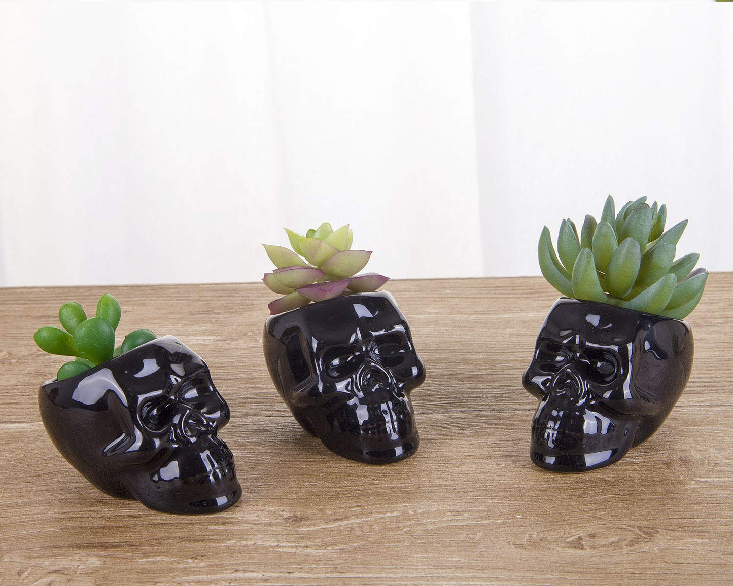 VanEnjoy Set of 3 Black Ceramic Skull Shaped Succulent Planter Pots Creative Cactus Plant Pot Pen Pencil Holder, Home Office Desk Decoration