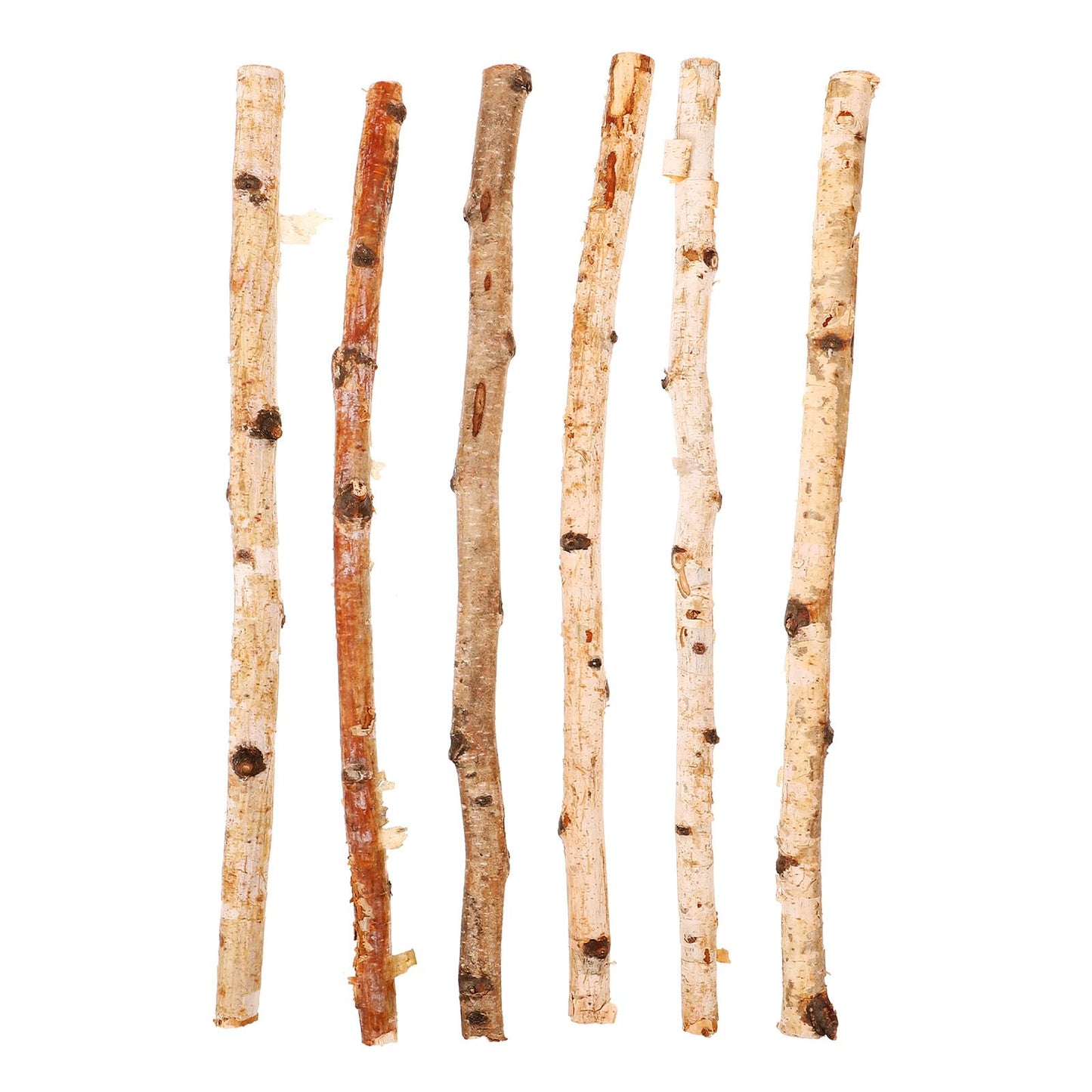 Natural Birch Wood Sticks 15.75 Inch Craft Sticks for DIY Projects Home Decoration Floral Arrangements and Holiday Crafts 6Pcs