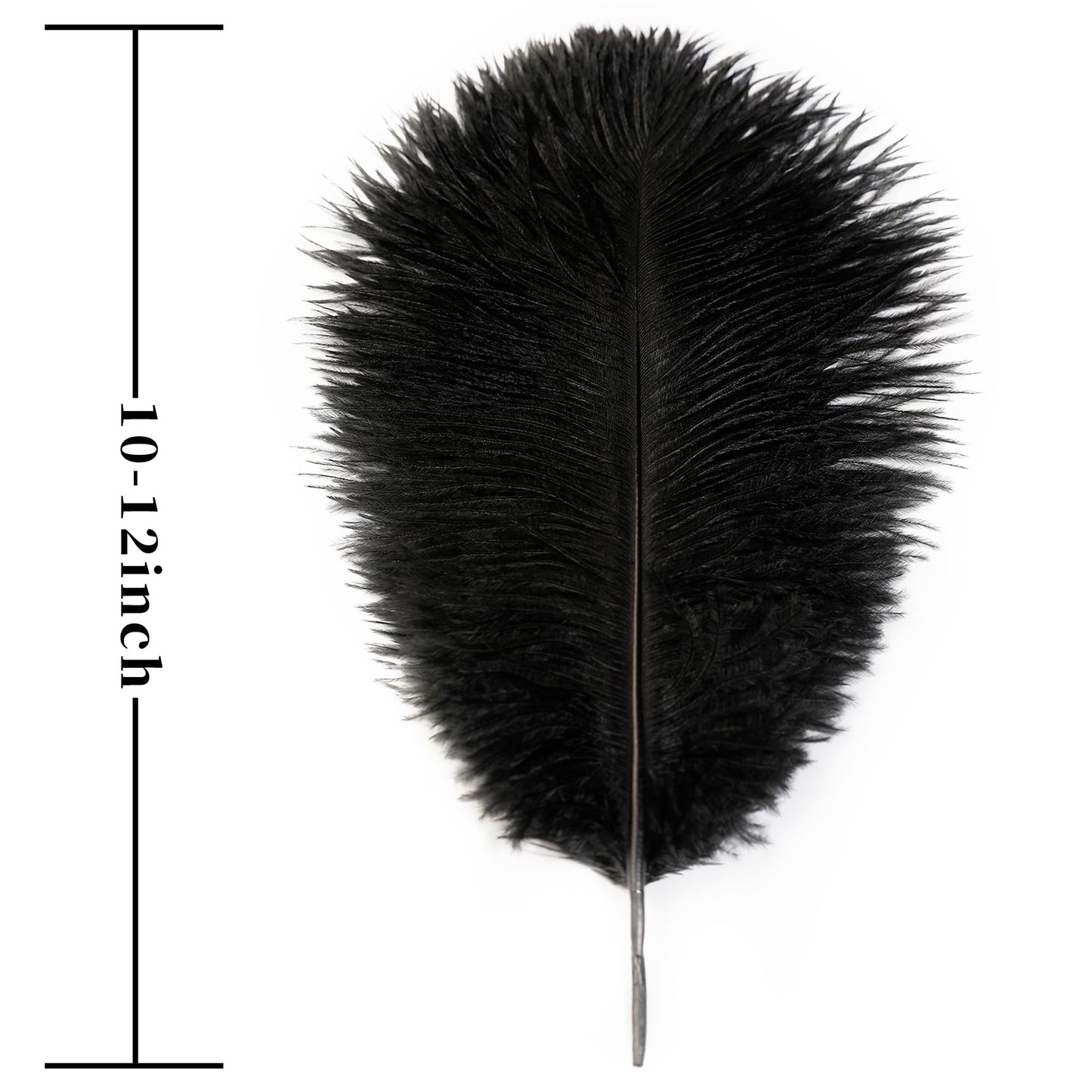 Soarer Black Ostrich Feathers Bulk - 15pcs 10-12 inches for Wedding Party Centerpieces, Home Decorations and DIY Crafts(Black)