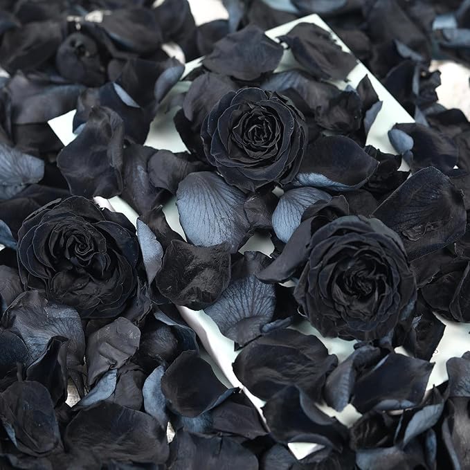 Dried Real Rose Petals, Natural Preserved Dry Flower Petals for Wedding Party Dinner Table Decor, Romantic Night for Her Set, Engagement, Bridal Shower, Valentine's Day, Confetti (1.6oz, Black)