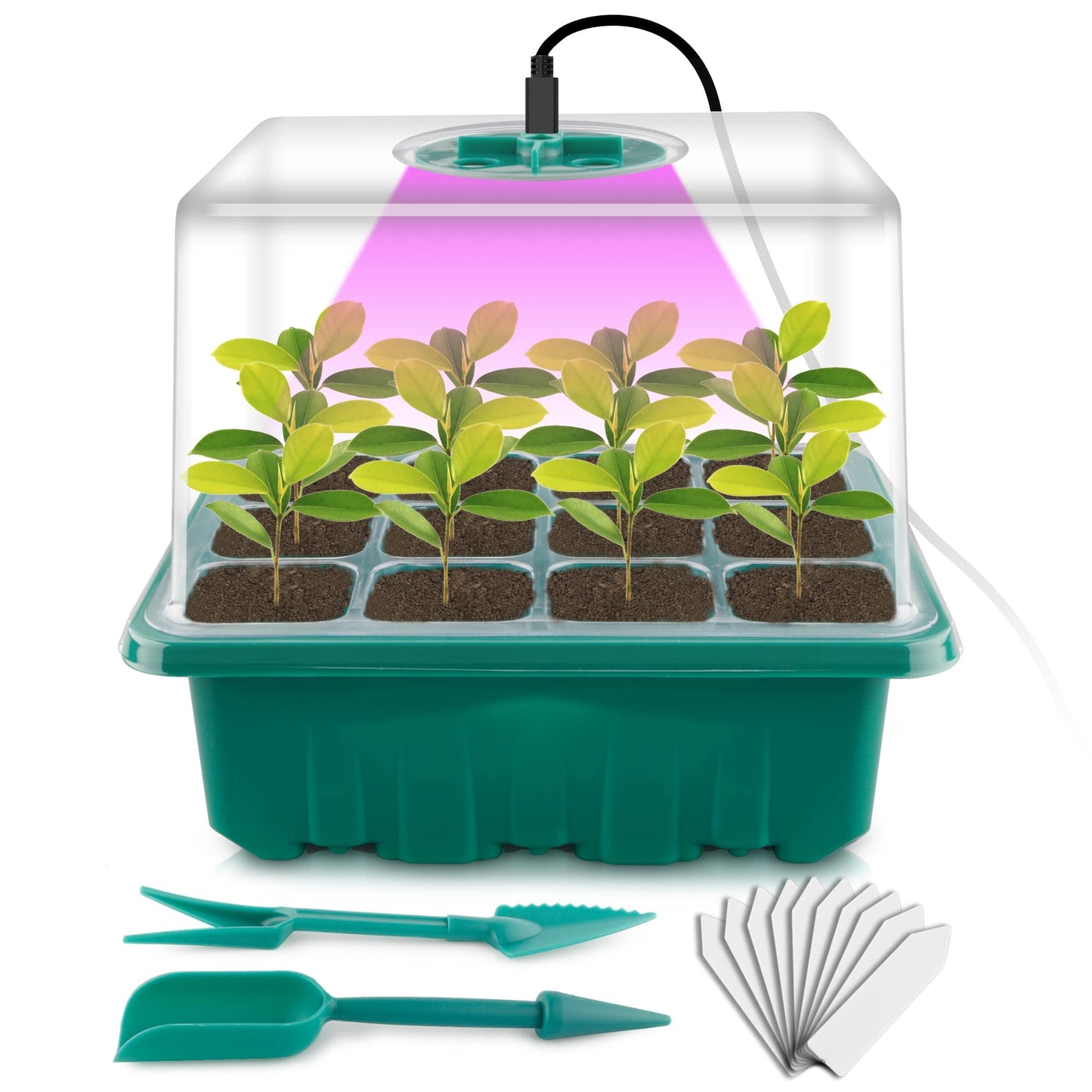 NEWKITS Seed Starter Tray with Grow Light, Seed Starter Kit, Plant Germination Starting Trays with Humidity Dome and Base for Greenhouse Grow Wheatgrass Hydroponic(12 Cells per Tray)
