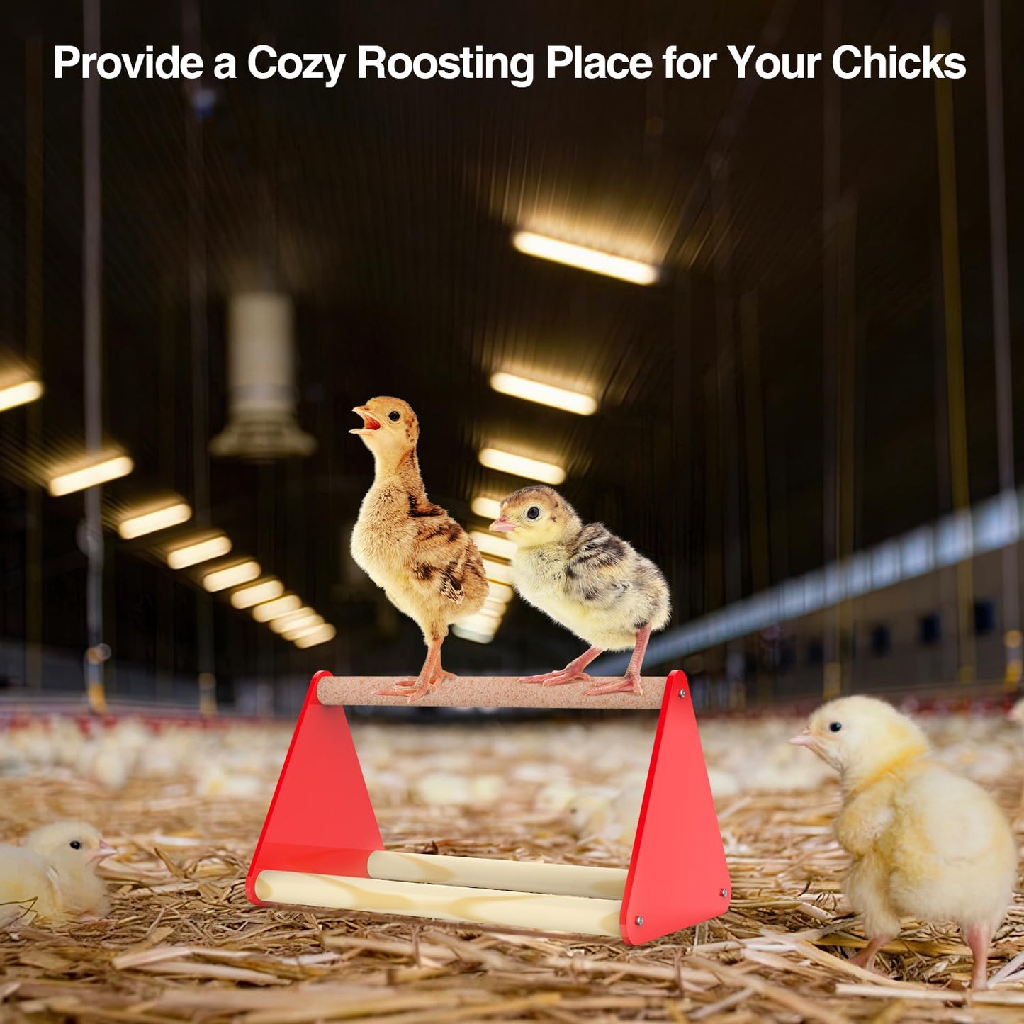 Kculehtlla Chick Feeder and Waterer Kit - Baby Chicken Supplies with Chicks Perch, Plastic Feeder Trough and 1.2L Waterer, Chicken Starter Kit for Coop and Brooder for Small Poultry Ducks Quail