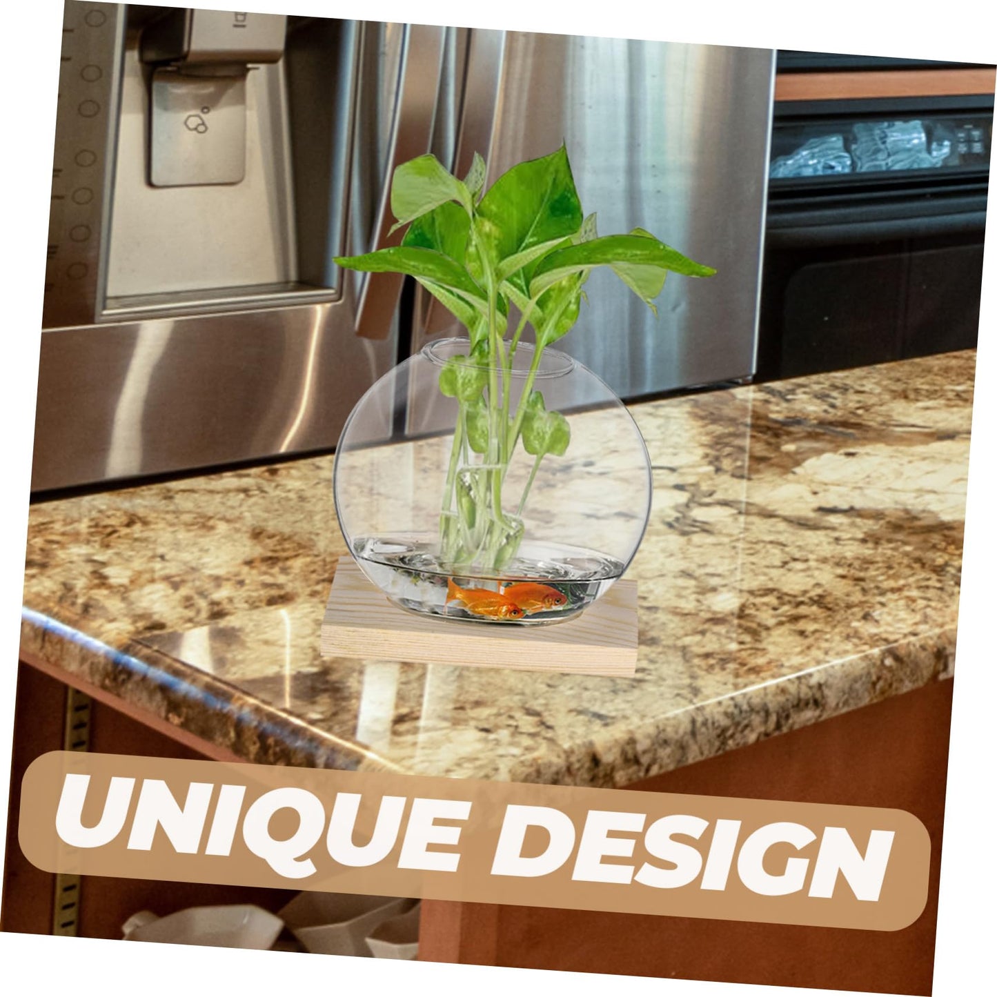 SUPVOX 2sets Glass Plant Wooden Base for Home Decor Indoor Hydroponic Plant Display Elegant Terrarium Design for Office and Wedding Decoration