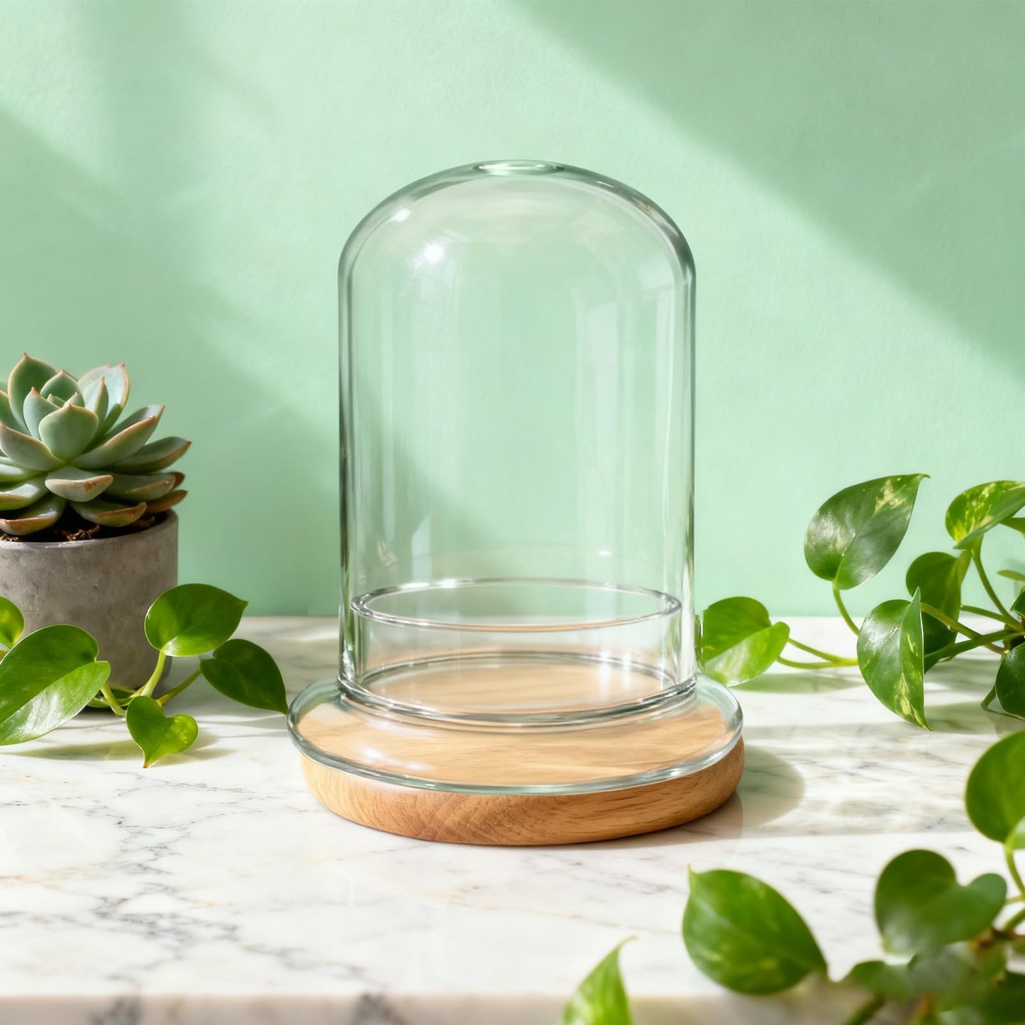 PEDOBALI 2 Pcs 5.9 x 8.46 Inch Glass Terrarium with Airhole and Base Clear Glass Dome Planter Display Container Plants Not Included for Office Desk, Balcony, Coffee Table