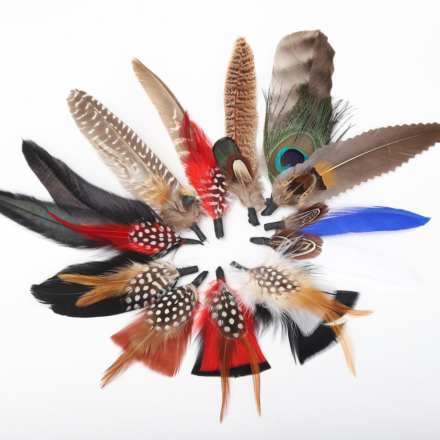FeelfunFeather Hat Natural Peacock Feathers - 12PCS Colorful Real Feathers for DIY Fedora, Cowboy, Christmas Party, Oktoberfest, Trilby Hats