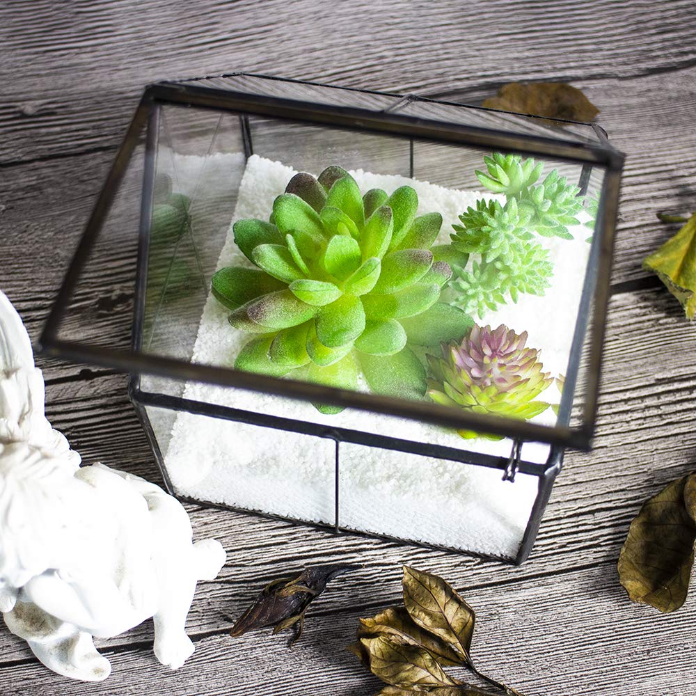 Ferrisland Glass Plant Terrarium Container Wardian Case Indoor Small Succulent Terrarium Planter w/Door for Tabletop Decor DIY - 4.9"x4.3"x4.3"