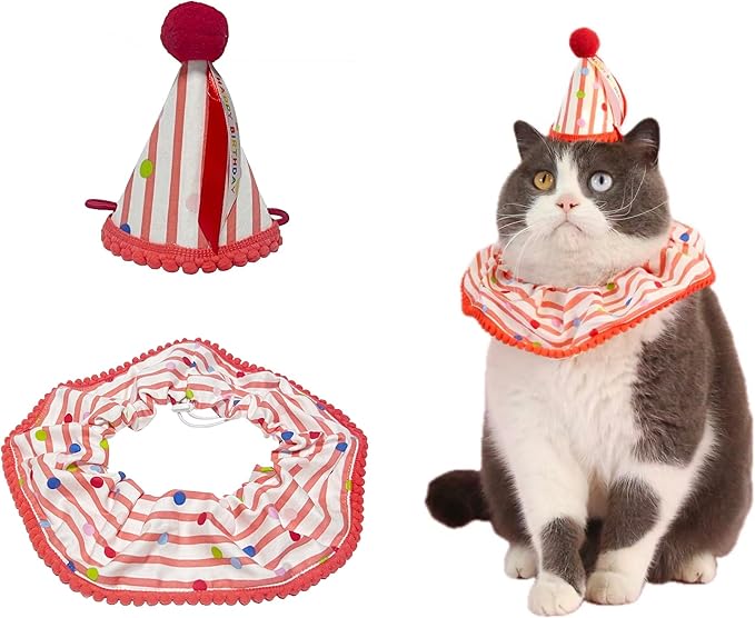 Cat Dog Princess Costumes Cat Birthday Hat and Scarf Pet Birthday Bandana