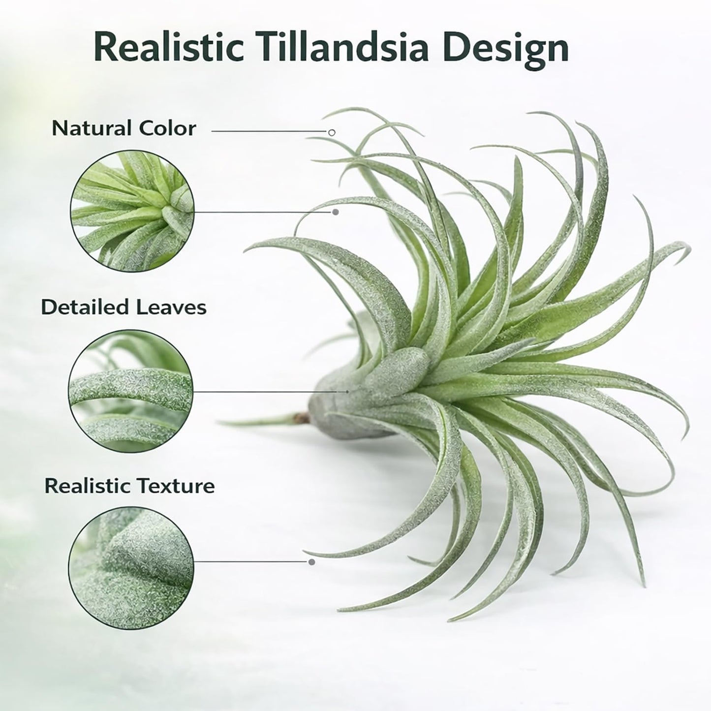 2 Pack Artificial Air Plants, Realistic Looking Faux Tillandsia Succulents Plants for Home Decor, Indoor Outdoor Garden, Terrarium, Office Desk, Wedding Displays (Green)