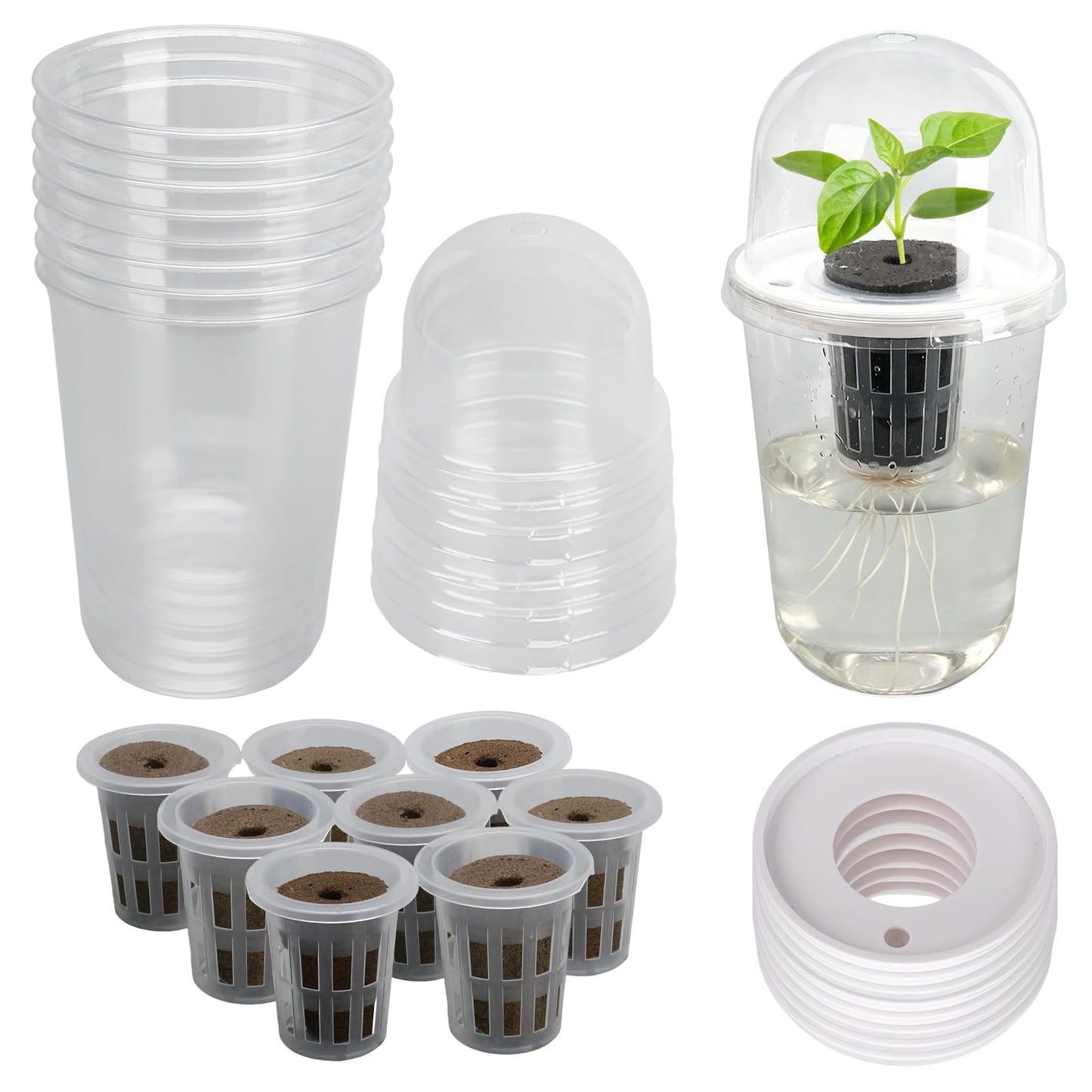 Ronyes Clear Hydroponic Nursery Kit with Vented Humidity Domes 8 Packs, Corms Growing Container, Hydroponic Growing System, Tissue Culture Acclimation Kit