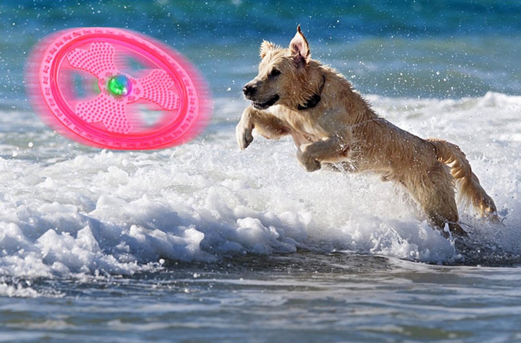 Wandrola Flying Disc Dog Sport Toy with Flashing LED Lights, Light Up Pet Disk for Ultimate Night Time Play, Blue
