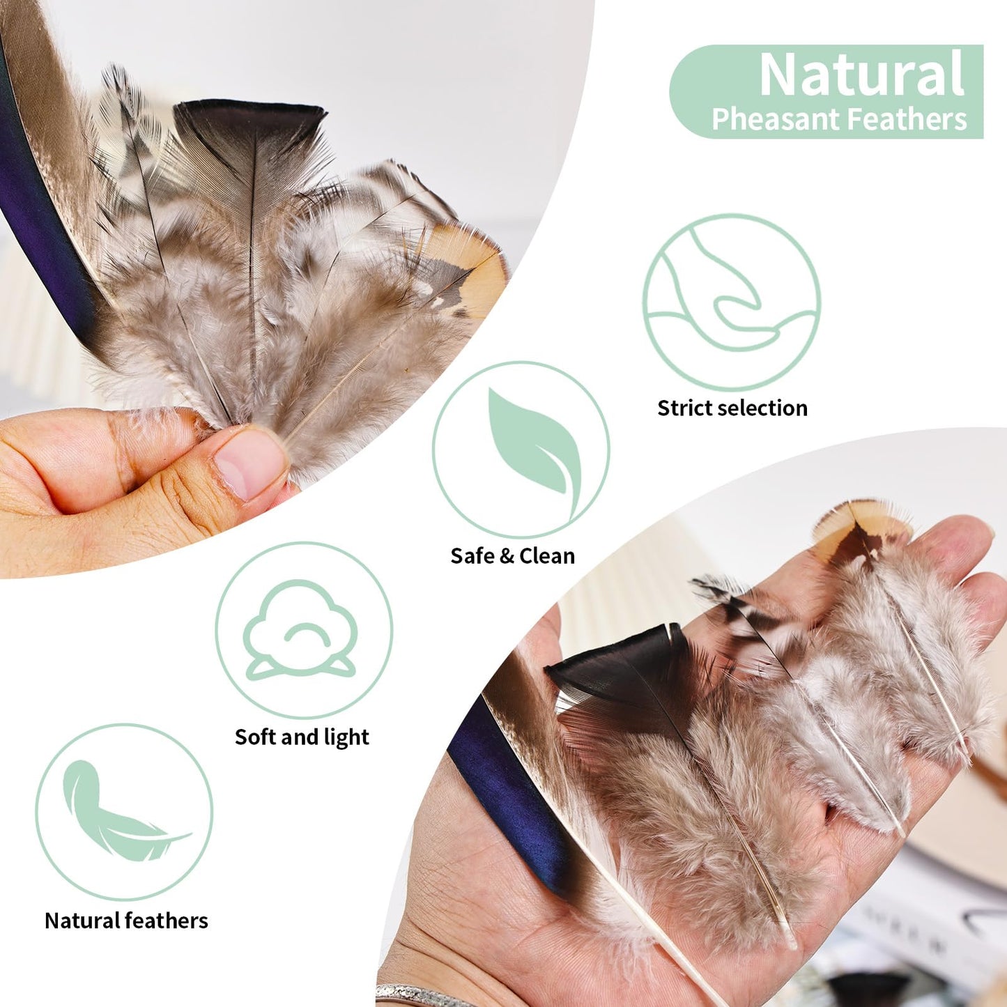 Natural Feathers Bulk -360PCS - 12 Styles Assorted Small Natural Feathers, Peacock Feathers, Pheasant Feathers, Turkey Feathers for DIY Crafts, Wedding, Crafting Supplies