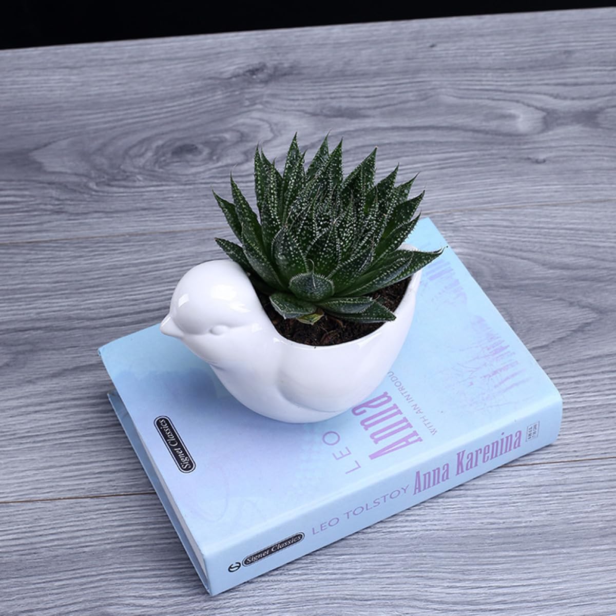 HANABASS Ceramic Succulent Plant Pot Bird Shape White Small Flower Pot Saucer Indoor Desktop Planter for Home Garden Decor