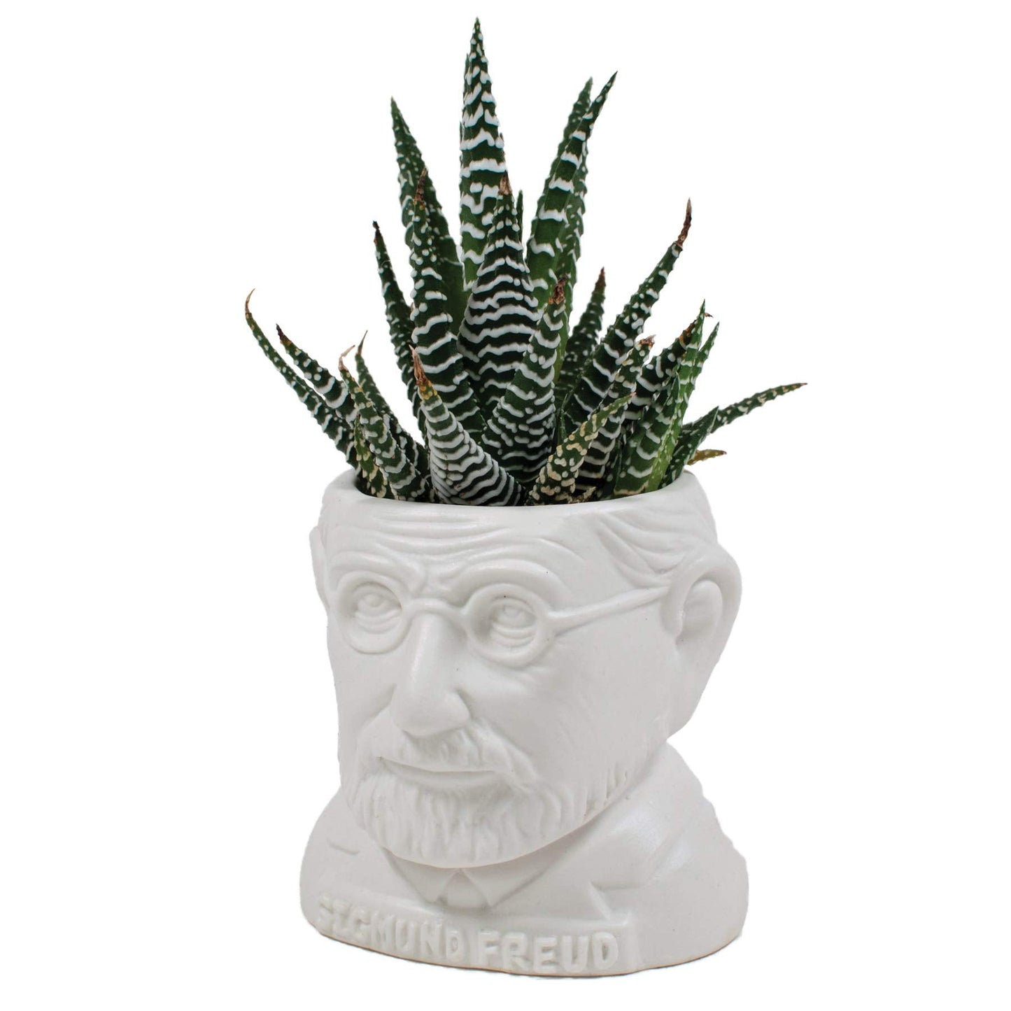 The Unemployed Philosophers Guild Sigmund Freud Bust Ceramic Planter