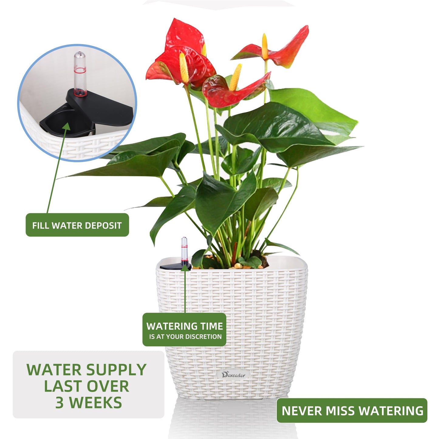 Dexceder 9x8 Self Watering Planter Indoor Outdoor, Inner Mat Design, Thickened Table Flower Plant Pot with Water Level Indicator (Ivory White Rattan)