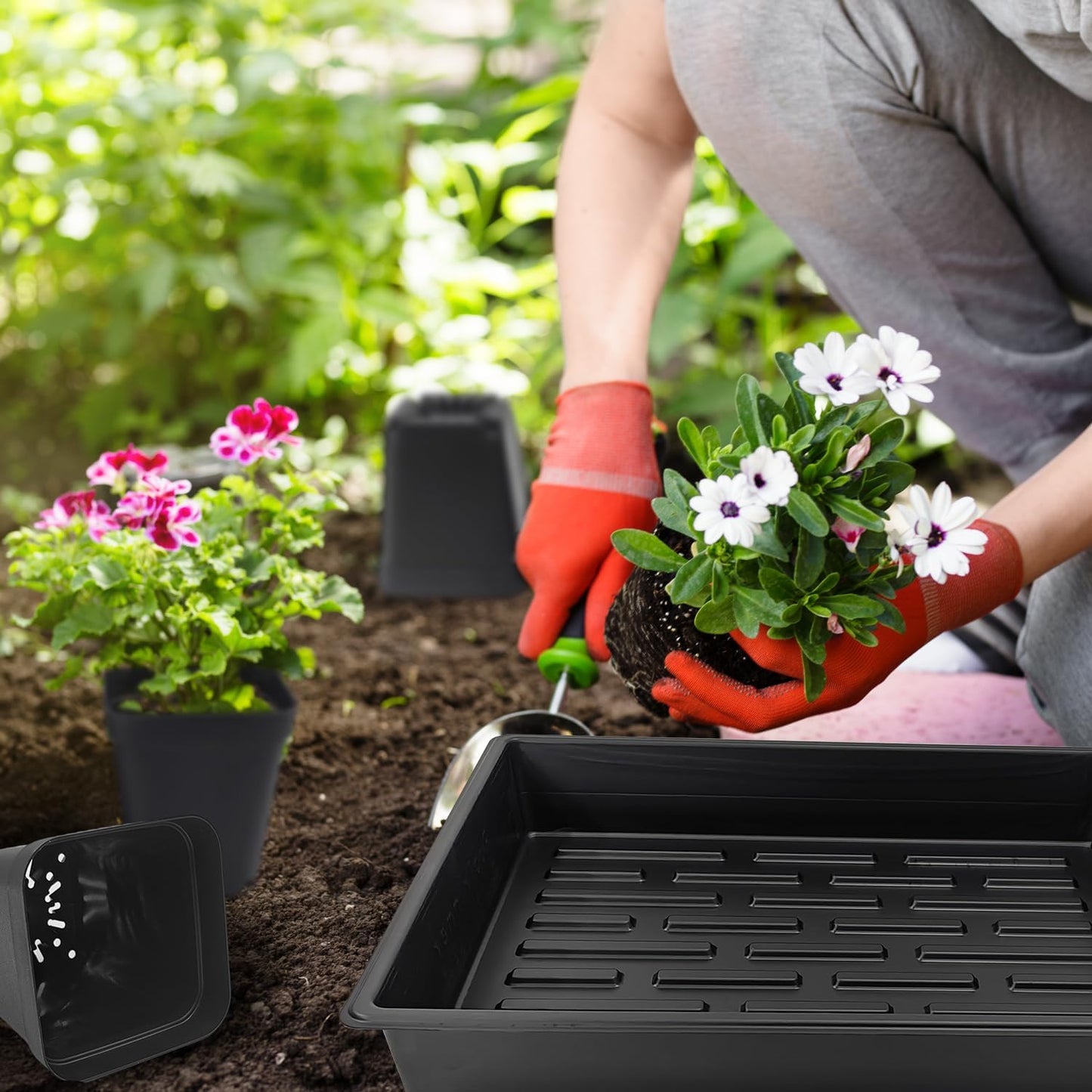 RooTrimmer 3.15 inch (8CM) Square Nursery Pots 100 pcs, Sturdy Seedlings Trays 5 Pcs, Seeds Starter Germination Tray, Microgreening Planter Nursery Propagation 5 Sets