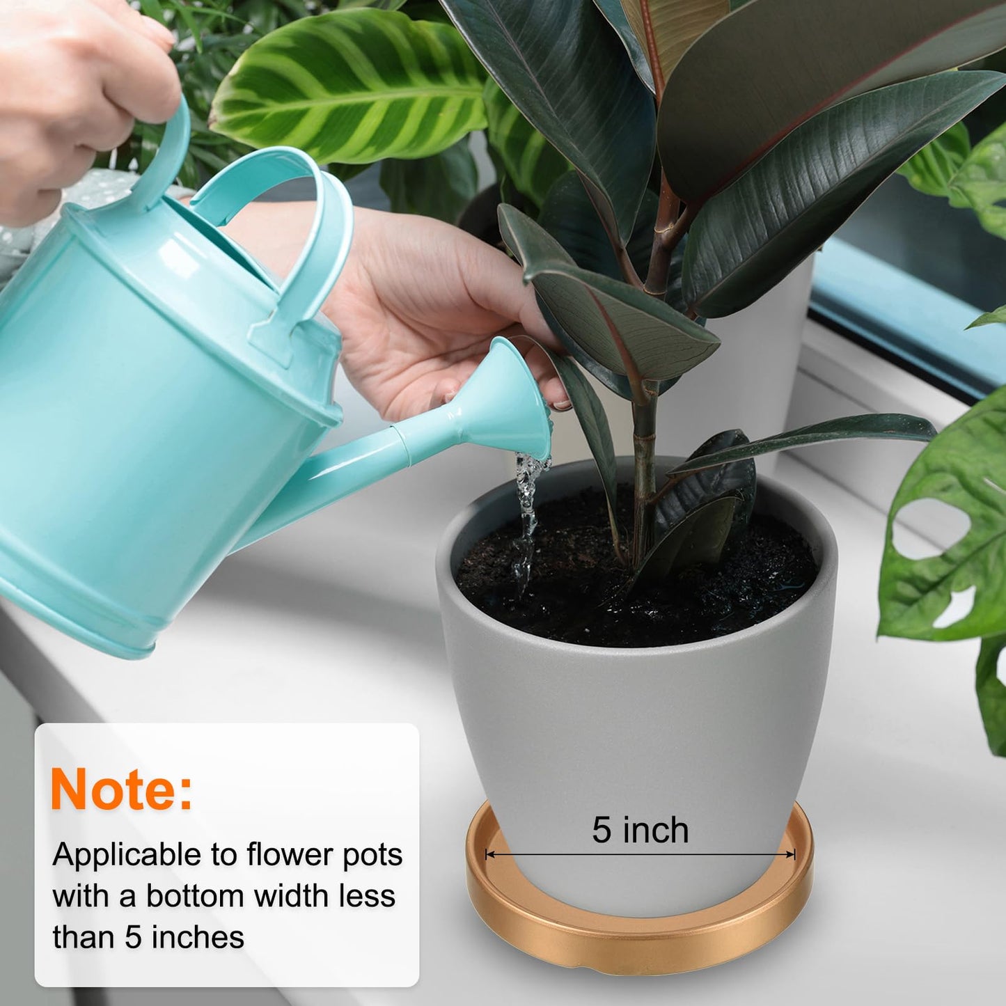 PATIKIL Plant Pot Saucer 6 Inch OD, 3 Pack Ceramic Round Flower Drip Tray for Indoor Outdoor, Black