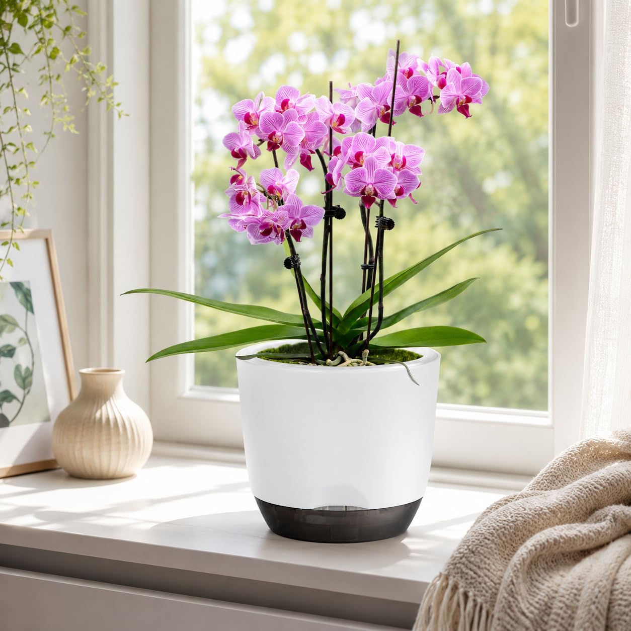 QCQHDU 2 Pack 5.7 Inch Orchid Pots with Holes for Repotting, Double-Layer and Self Watering Orchid Pot with Good Air Circulation