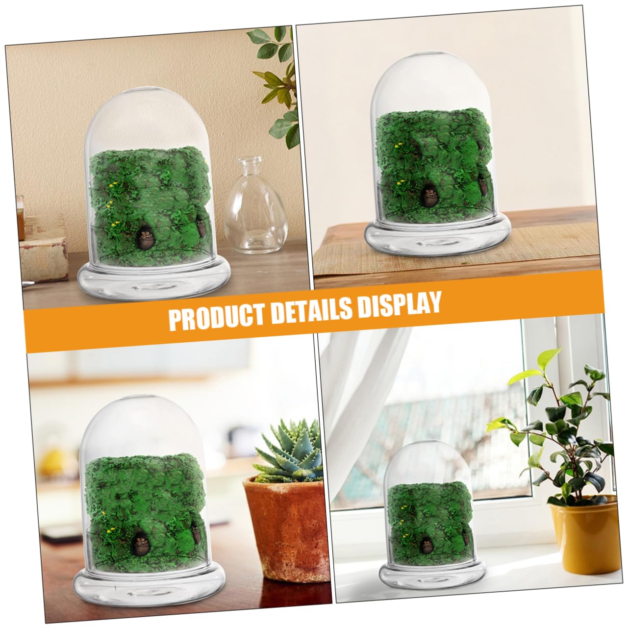 FUNOMOCYA 2pcs Eco Bottle Moss Micro Landscape Bottle Glass Terrarium DIY Plant Container