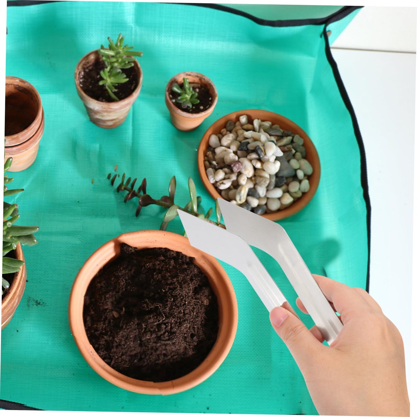 MOBUTOFU Convenient Transplanting Tongs for Gardening Stainless Steel Seedling Transplanting Tool Practical Plants Remove Tong for Skill Levels