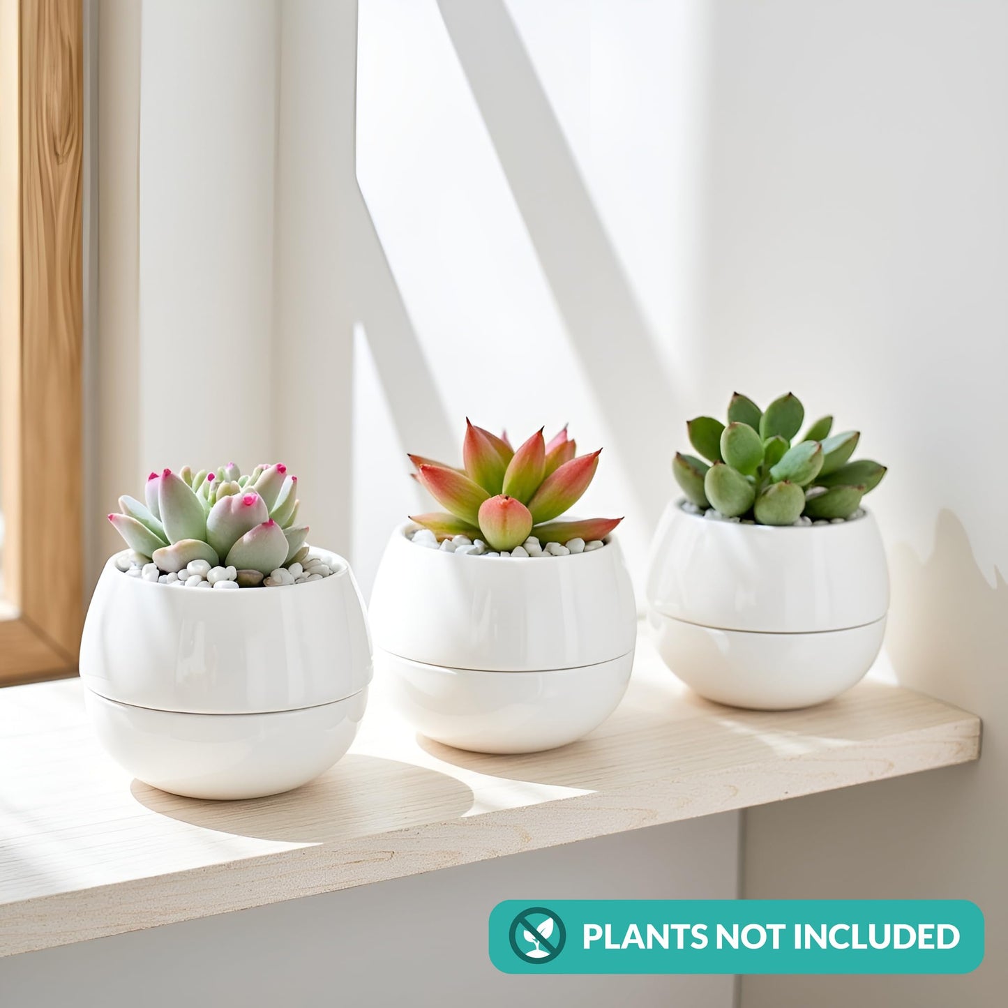 Willowy 3.5 Inch Small Succulent Pots - 3pk, Mini/Small White Ceramic Succulent Pots - No Plants Included