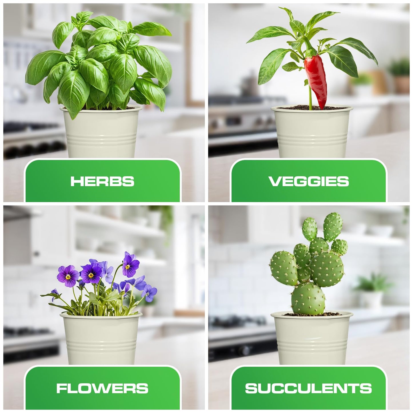 Plexon Herb Planter Indoor Garden Set of 3 with Tray, Metal Herb Pots for Indoor Plants, Round Kitchen Garden Kit Ideal for Windowsill Planter or Countertop, Off-White Powder Coated