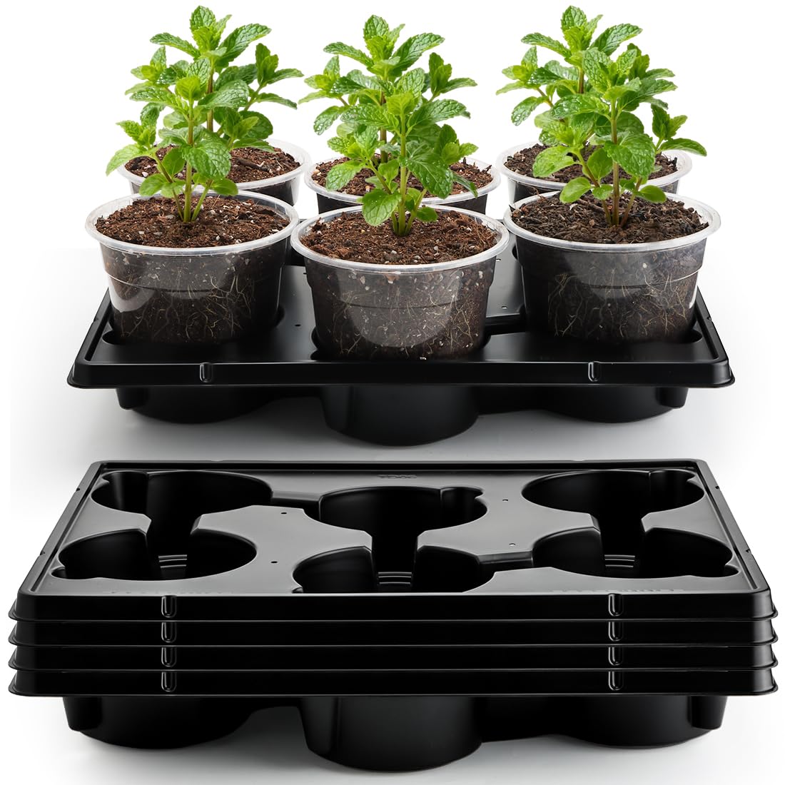 RooTrimmer 30 Pack 6 Inch Clear Nursery Pots and 5 Pack 6 Cell Round Plant Pot Trays, Sturdy Seeds Starting Germination Shuttle Carrying Trays, Planter Nursery Propagation 5 Sets