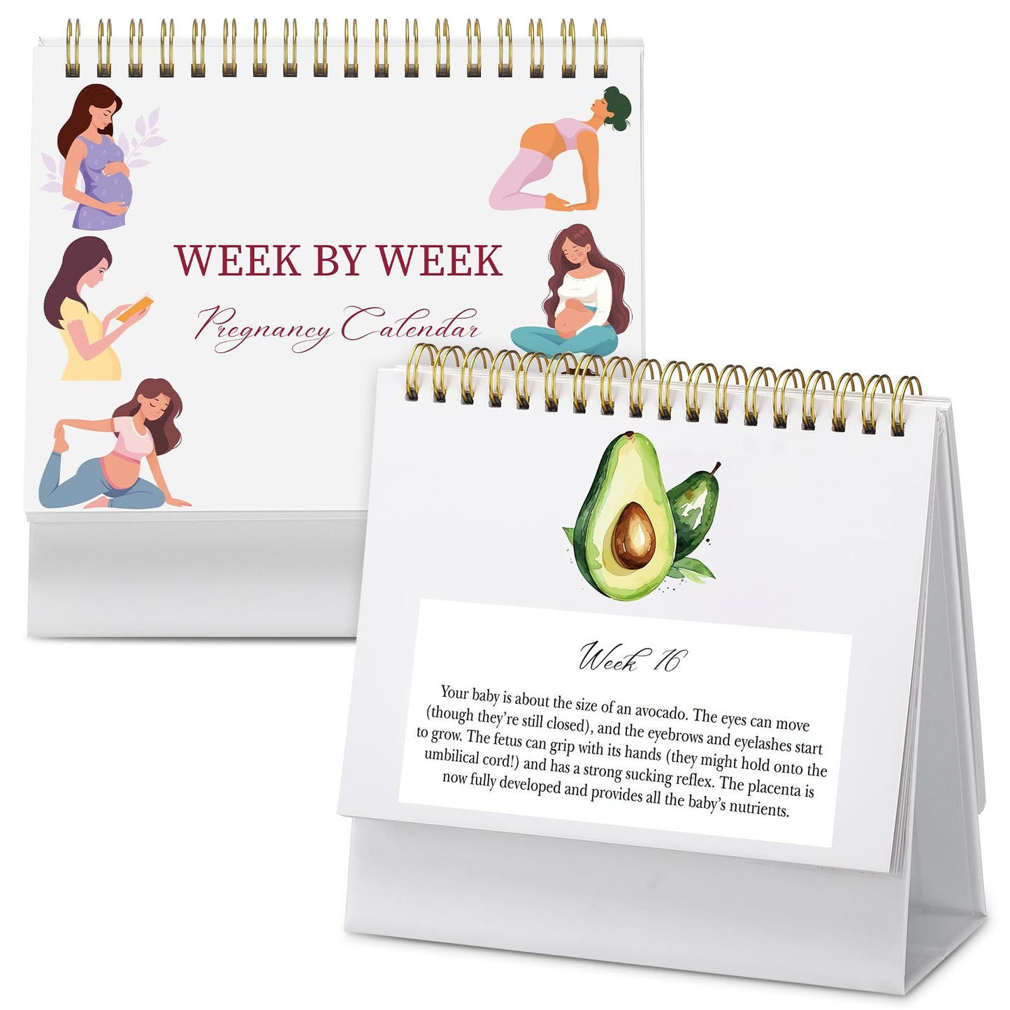 Gueevin Pregnancy Calendar Weekly Pregnancy Milestone Calendar with Scripture Pregnant Gifts for Expecting Mom, Baby Growth Tracker and First Time Parents Essentials, 44-Page Flip