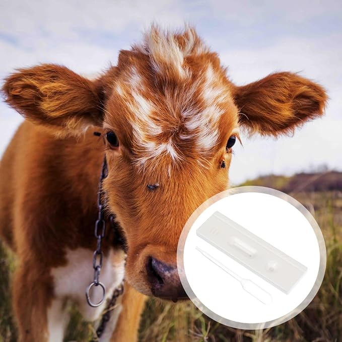 1Pc Horse Pregnancy Test Strip for Cow Pregnancy Tests PlasticLivestock Testing Paper Livestock Pregnancy Test Strip White